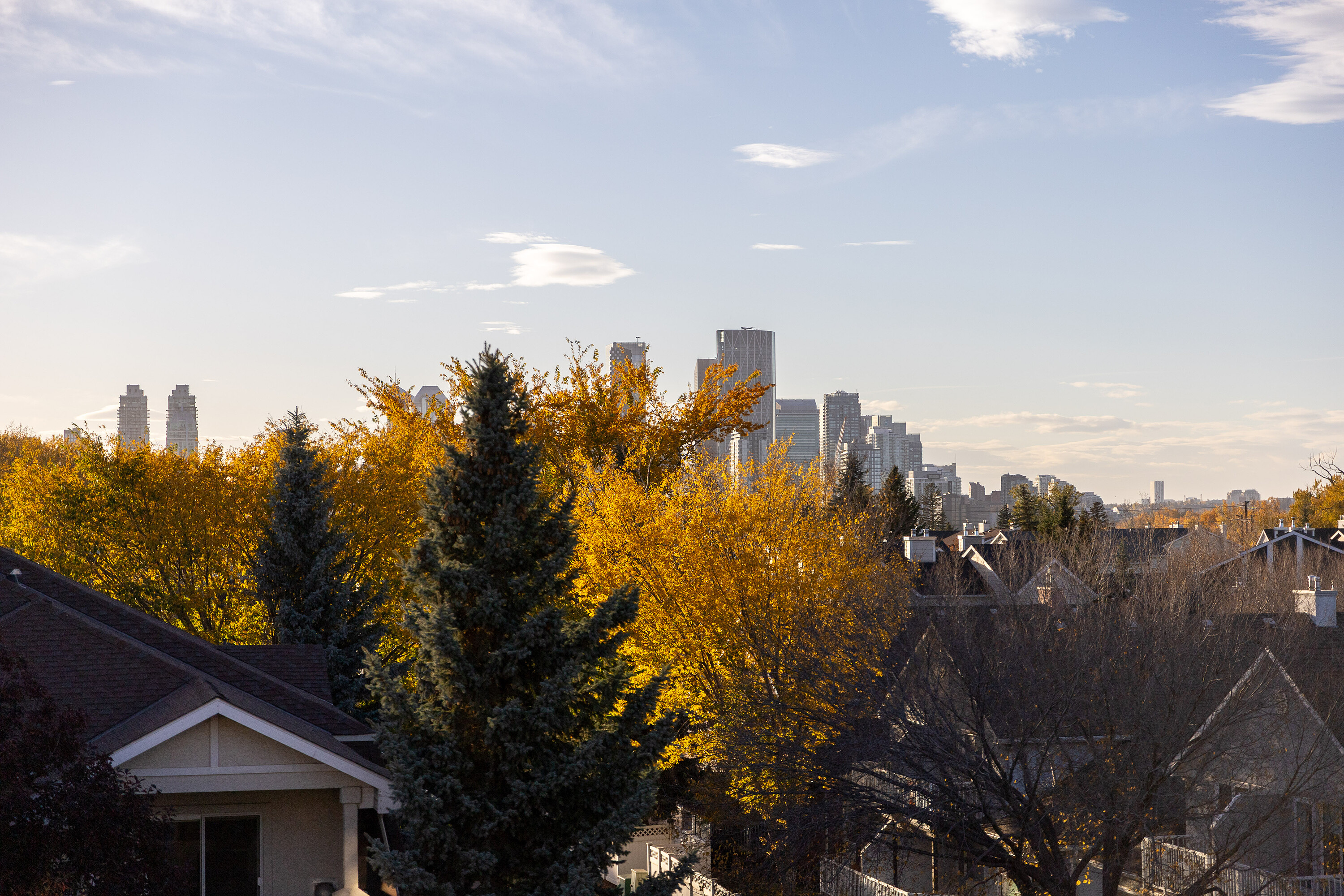  Calgary, Calgary and Foothills - 物件實景
