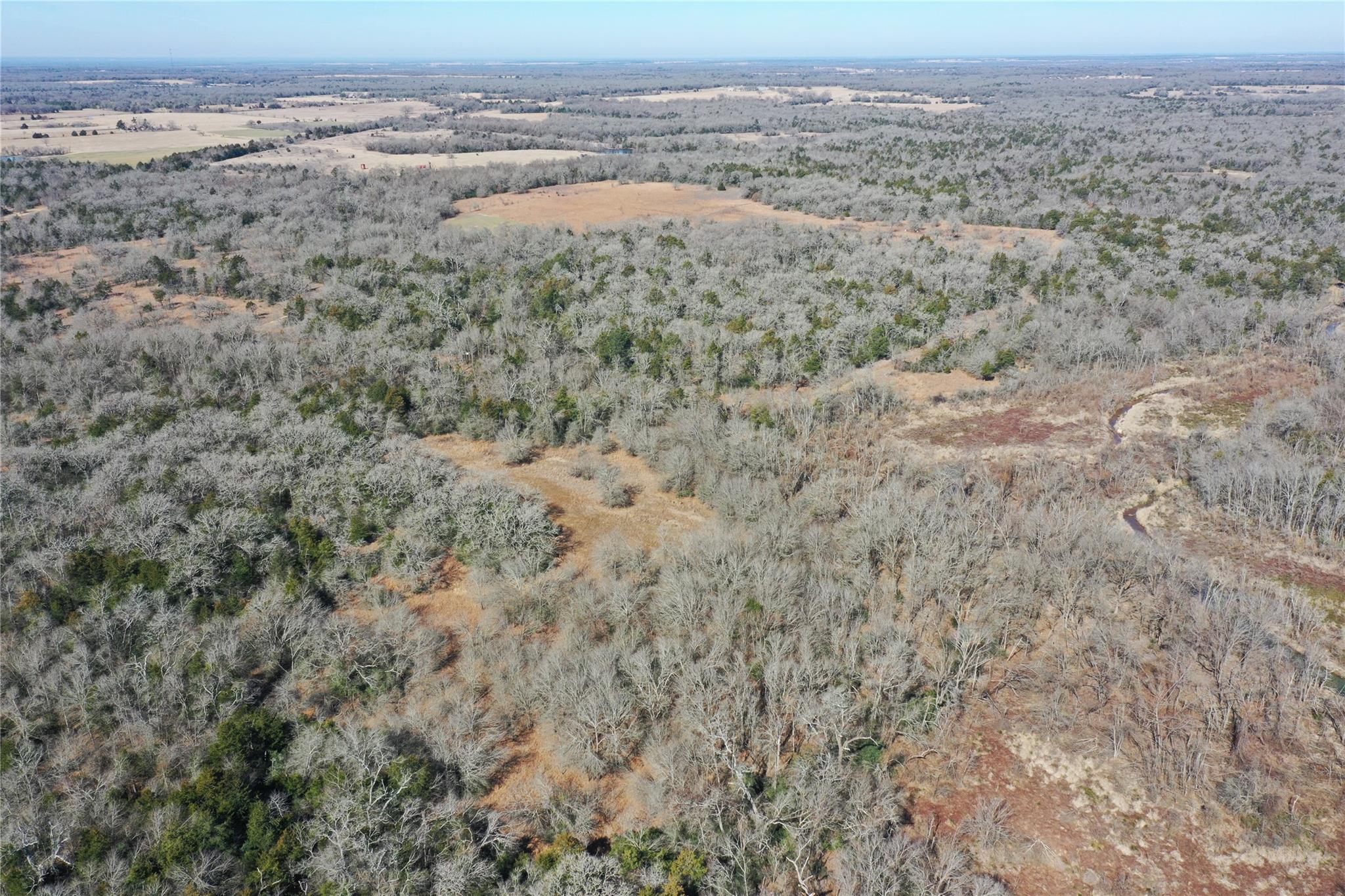 1151 Fowler Road, Bremond, Texas, 76629, United States, ,Land,For Sale,1151 Fowler Road,1621605