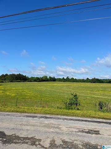Oneonta, Alabama, 35121, United States, ,Residential,For Sale,1873230