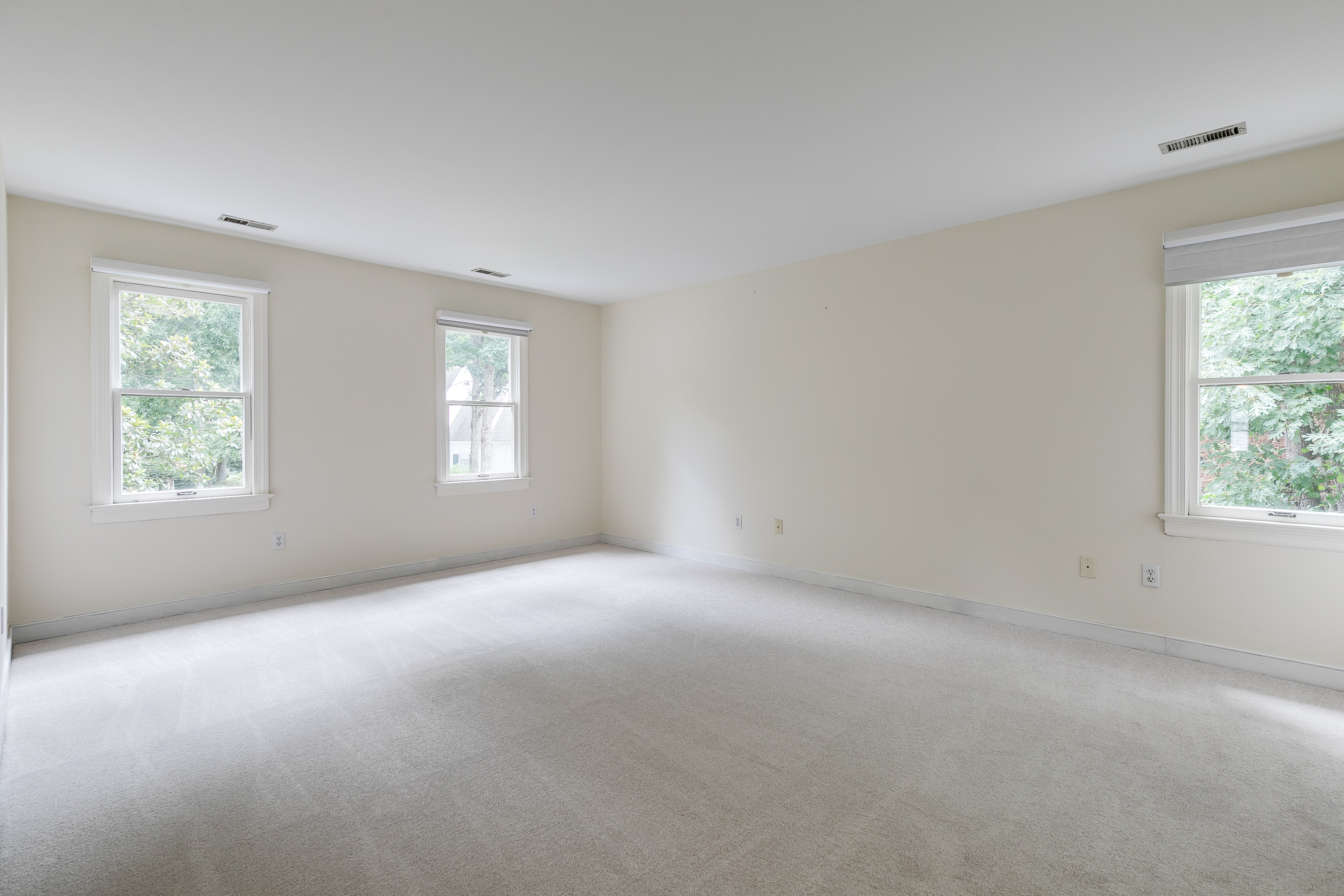  3704 Ivy Home Court, Henrico, VA 23233 - 物件實景