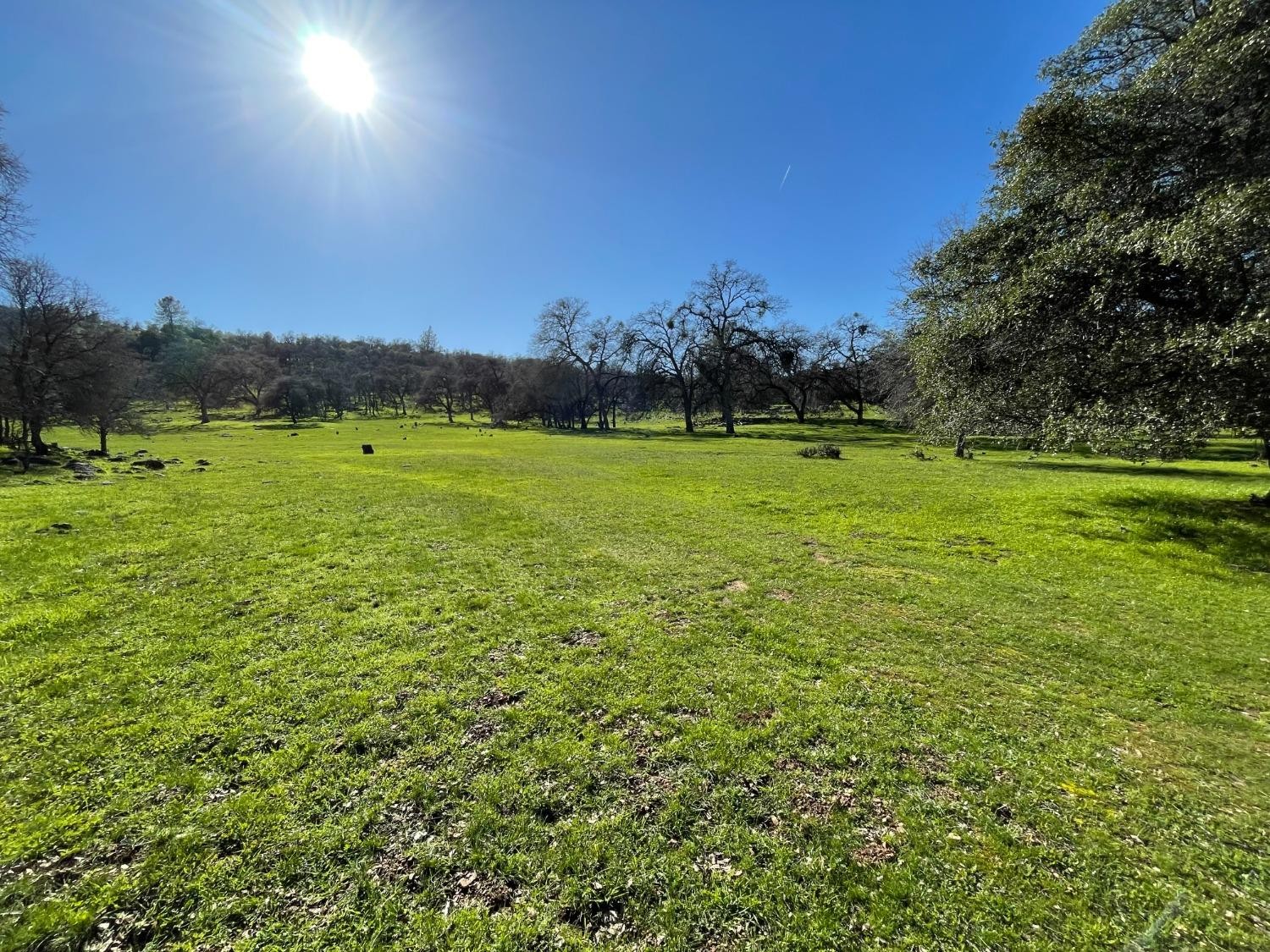 Vallecito, California, 95251, United States, ,Land,For Sale,1980651