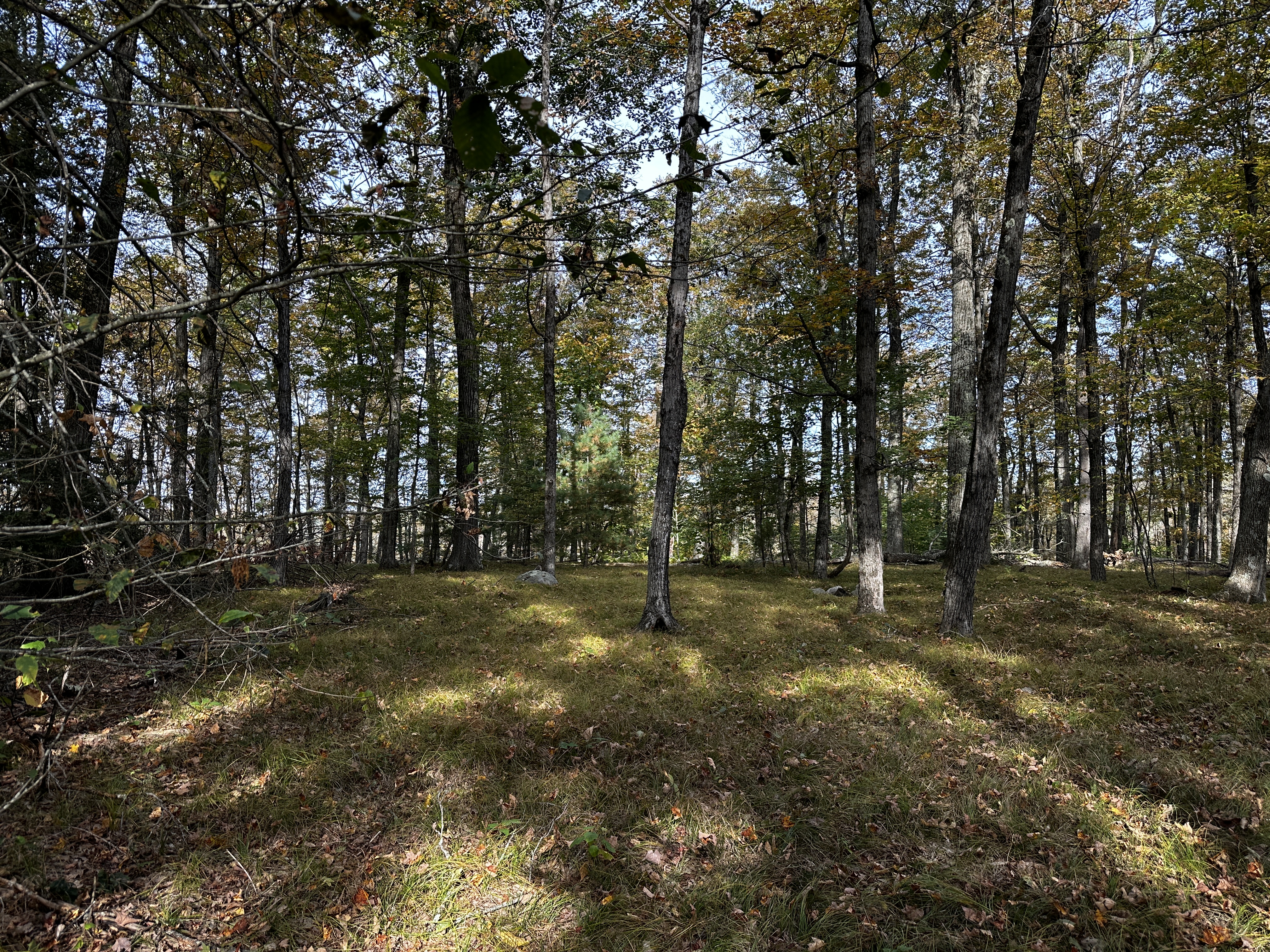  000000 Norfolk Road - 物件實景