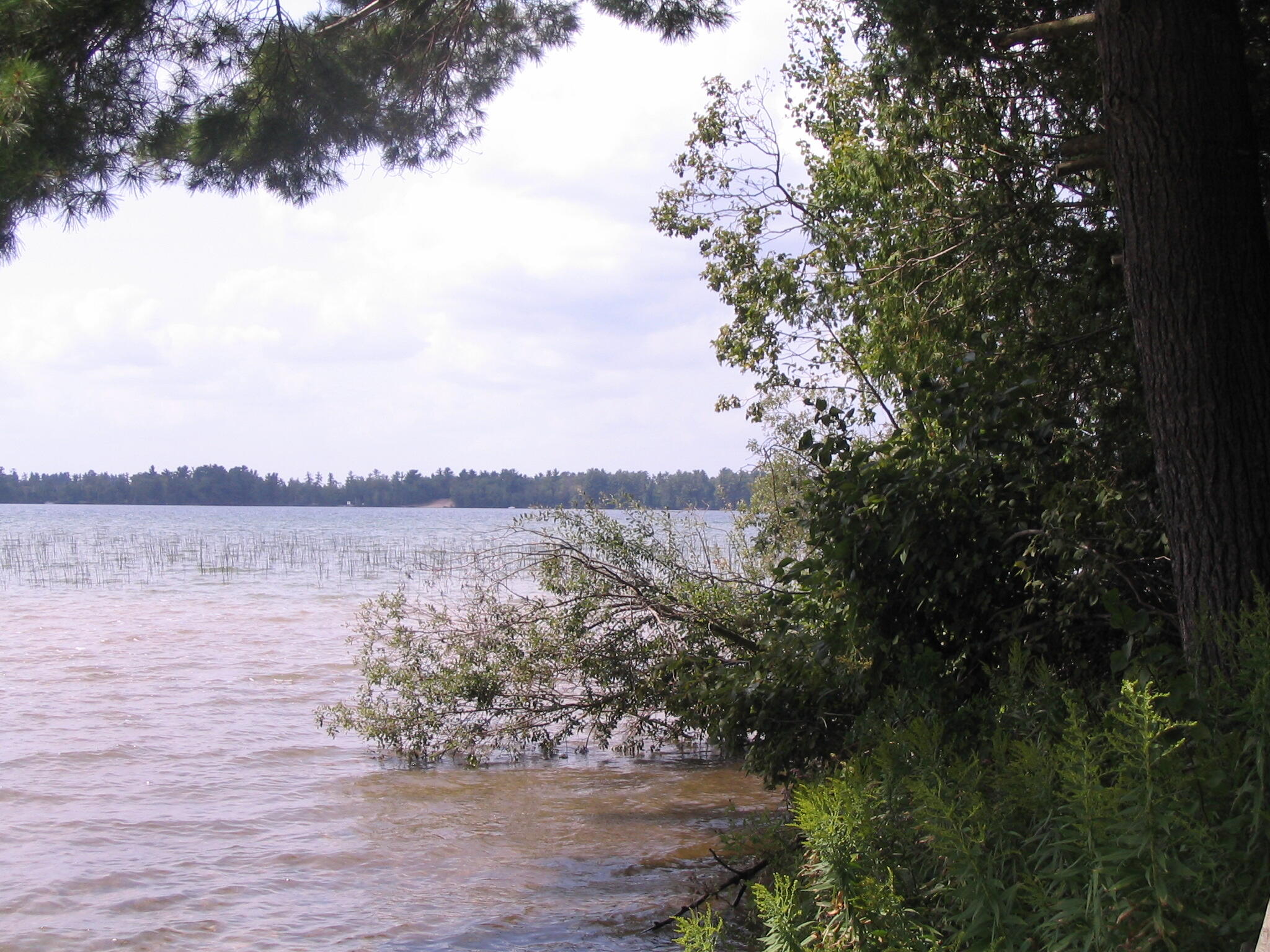 Grayling, Michigan, 49738, United States, ,Residential,For Sale,1845615