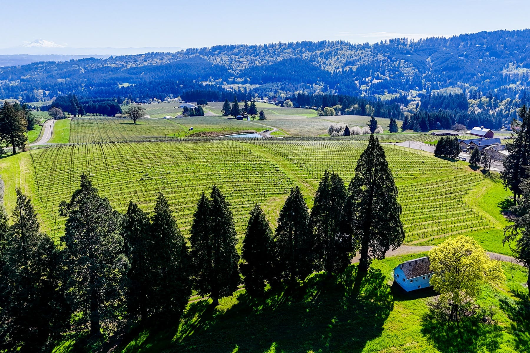  NE Mountain Home RD Sherwood, OR 97140 - 物件實景