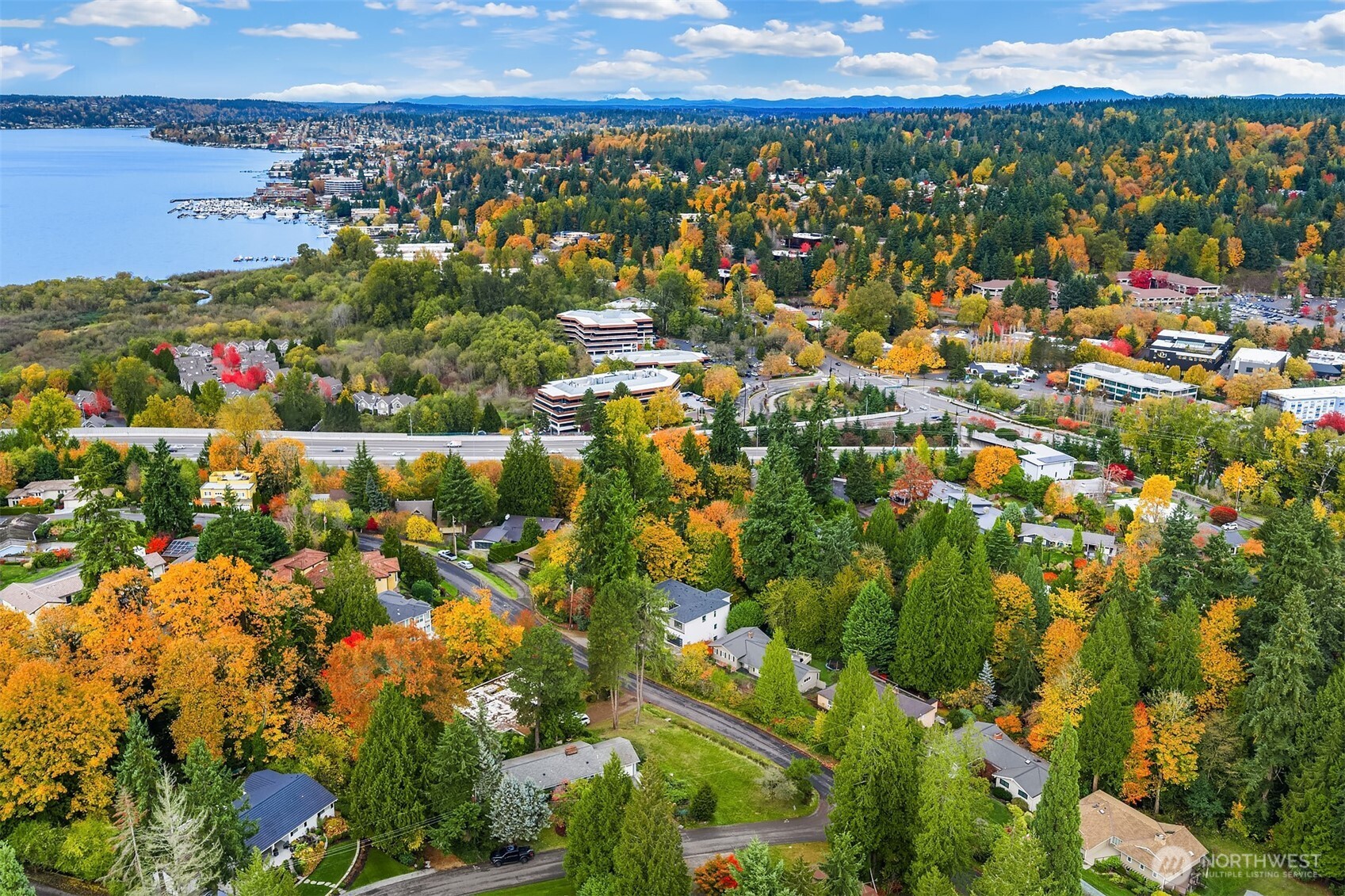 Bellevue, Washington, 98004, United States, ,Land,For Sale,1987927