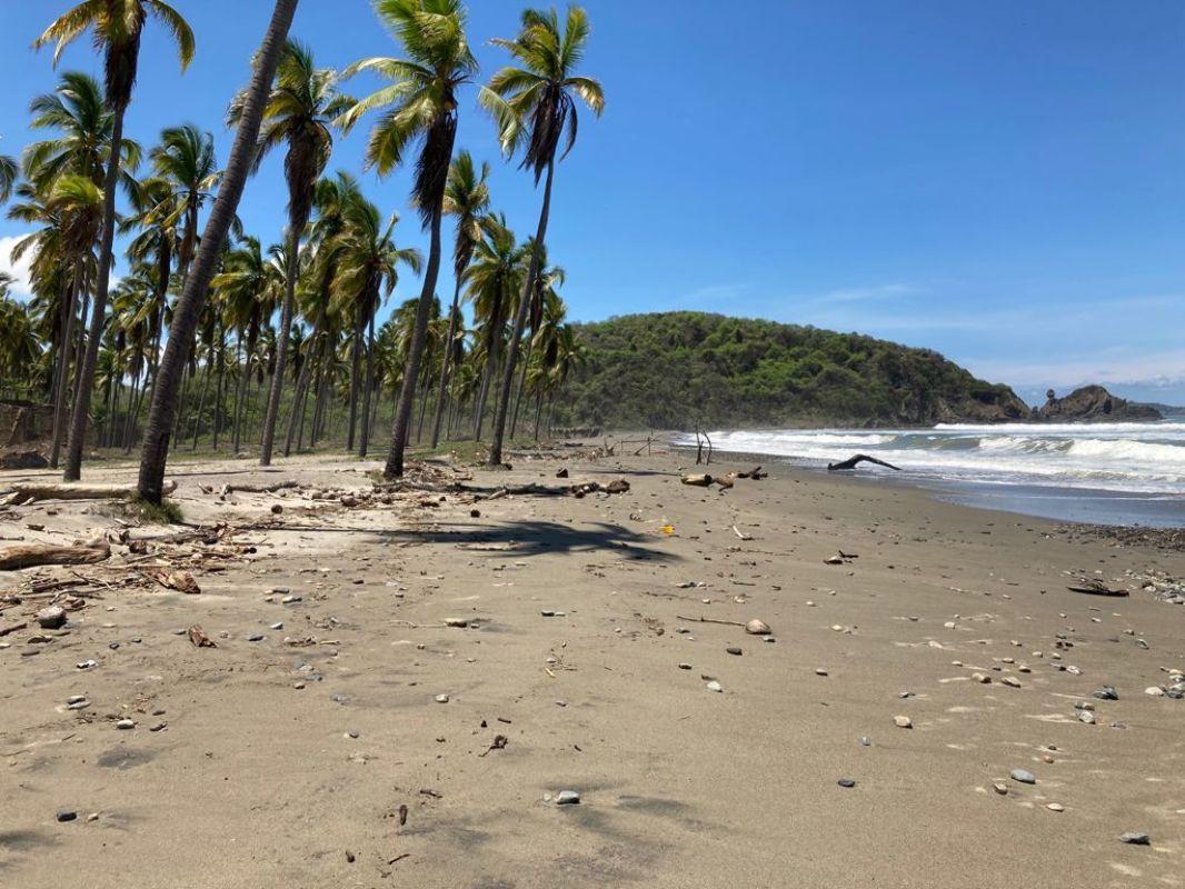 Km 23 de la carretera Ixtapa L?zaro C?rdenas, Zihuatanejo de Azueta, Guerrero, 40881, Mexico, 1 Bedroom Bedrooms, ,Residential,For Sale,Km 23 de la carretera Ixtapa L?zaro C?rdenas,1616036