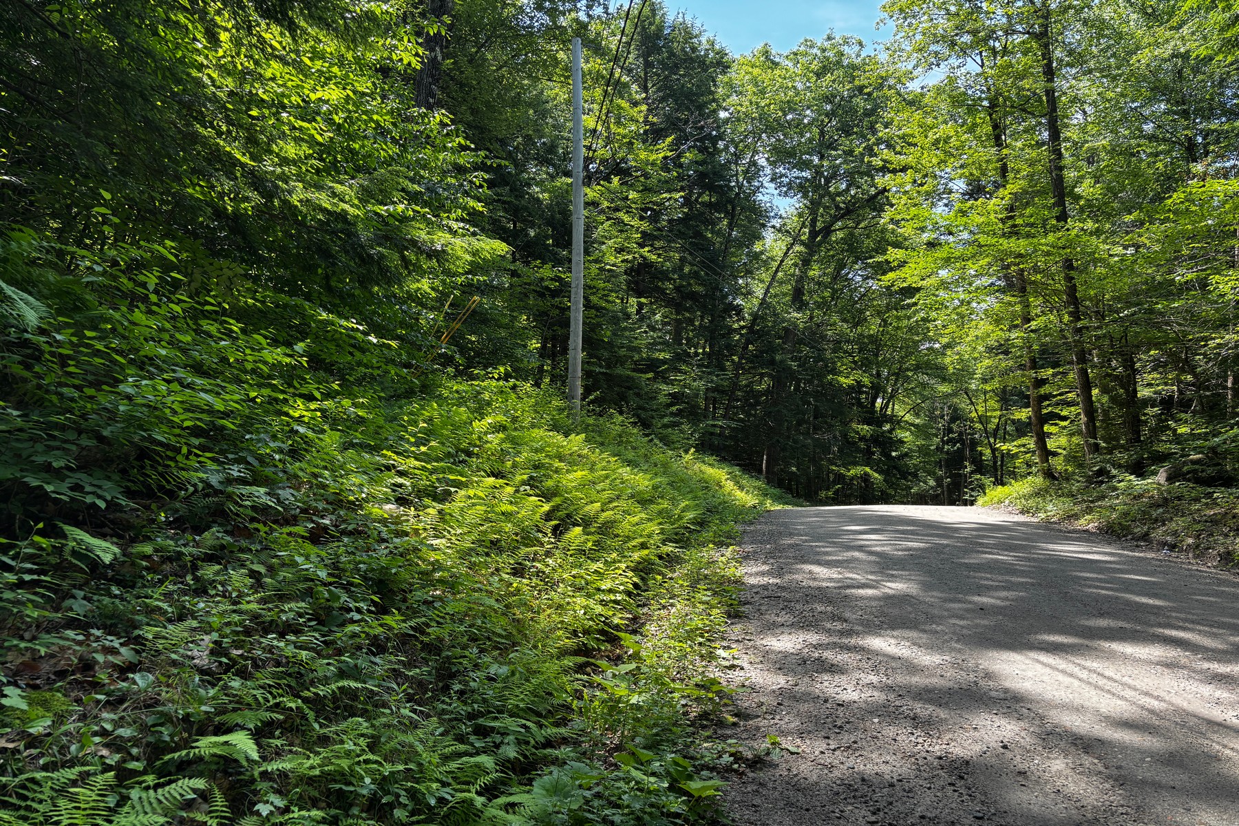  27 acres with close to Chester Village and Skiing - 物件實景