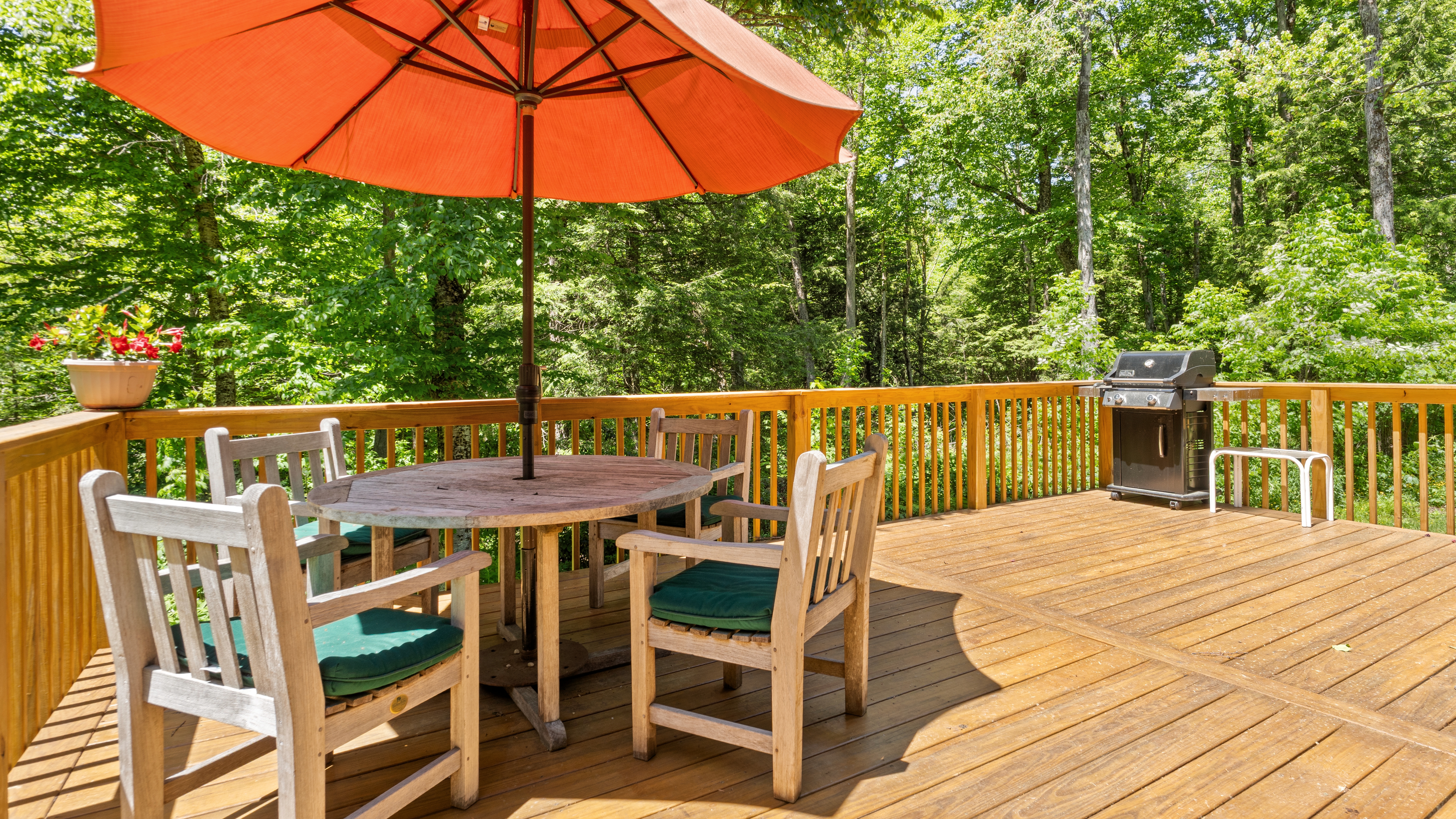  Wooded Privacy in Beautiful Lake Community - 物件實景