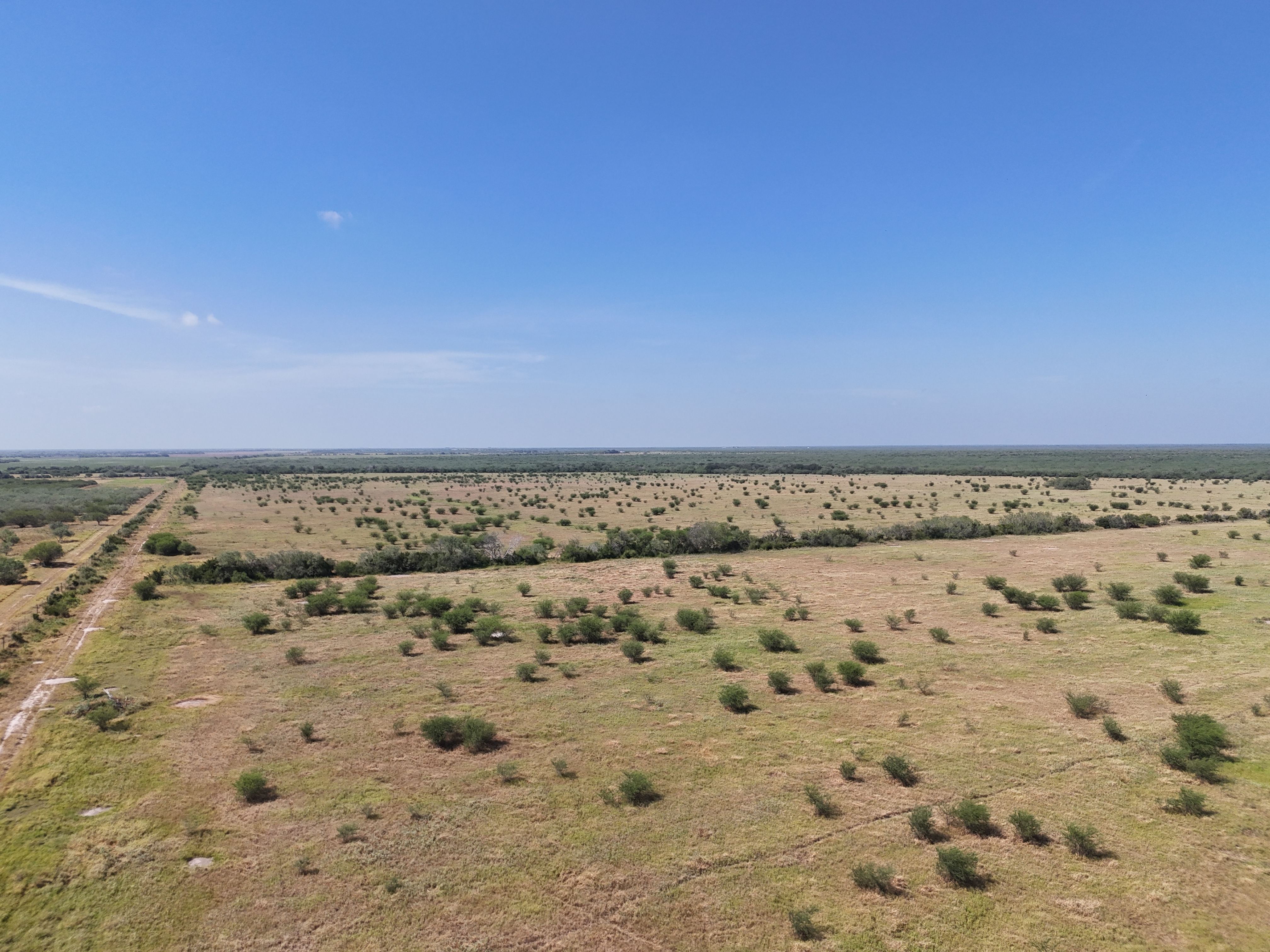  976+/- Acres - San Andreas Creek Ranch - 物件實景