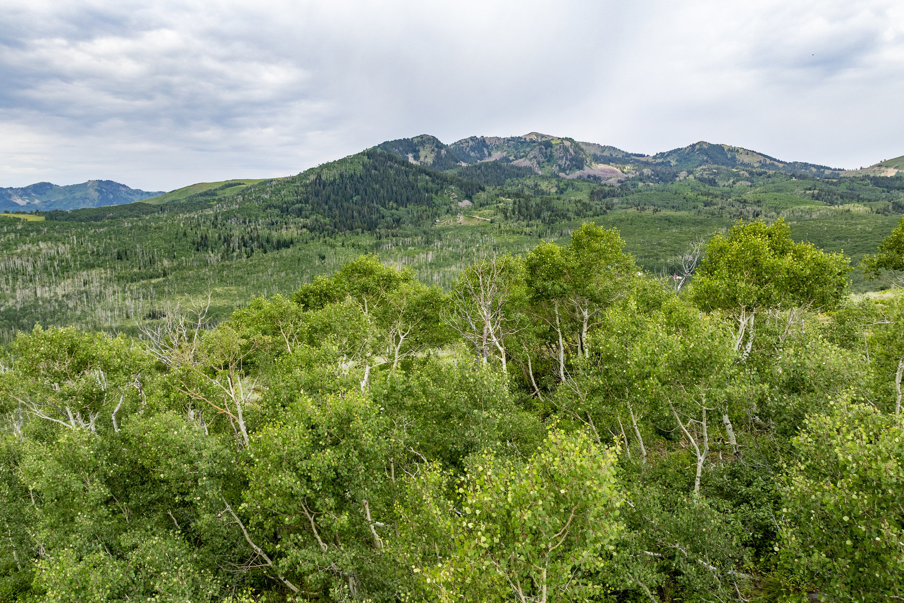  24 Acre Development Parcel in Bonanza Flats - 物件實景