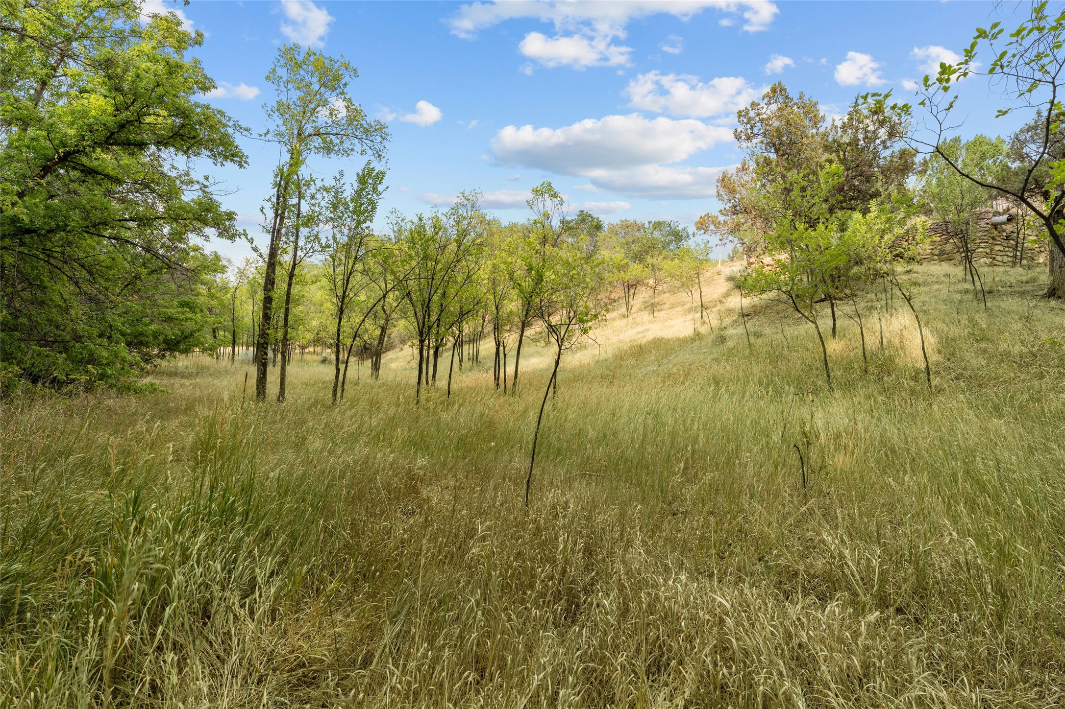 1523 Upper Canyon Road - 物件實景