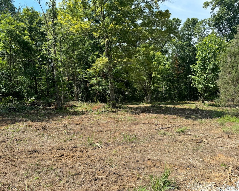 Somerset, Kentucky, 42501, United States, ,Residential,For Sale,1923151