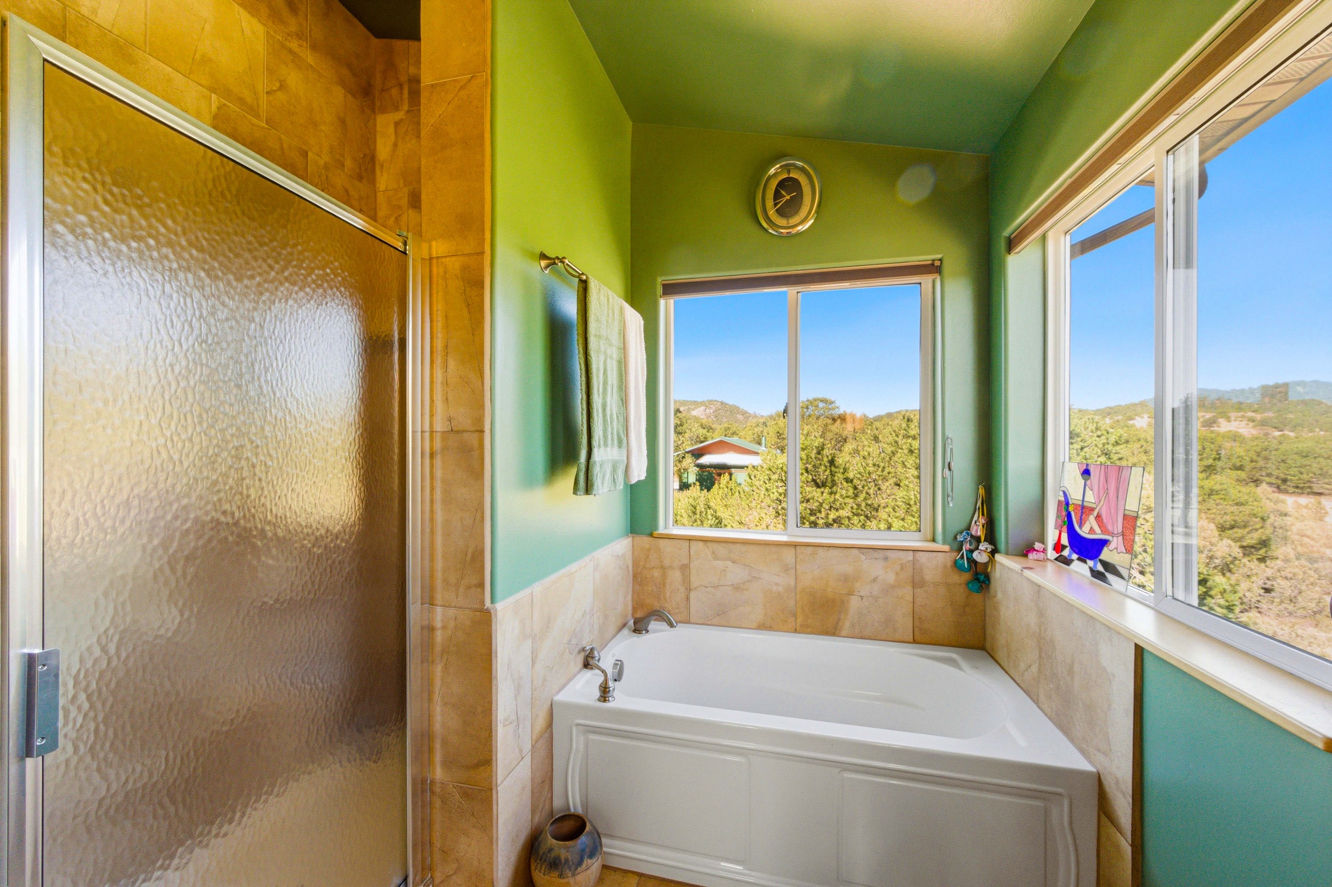  2873 County Road 1, Cotopaxi, CO, 81223 - 物件實景