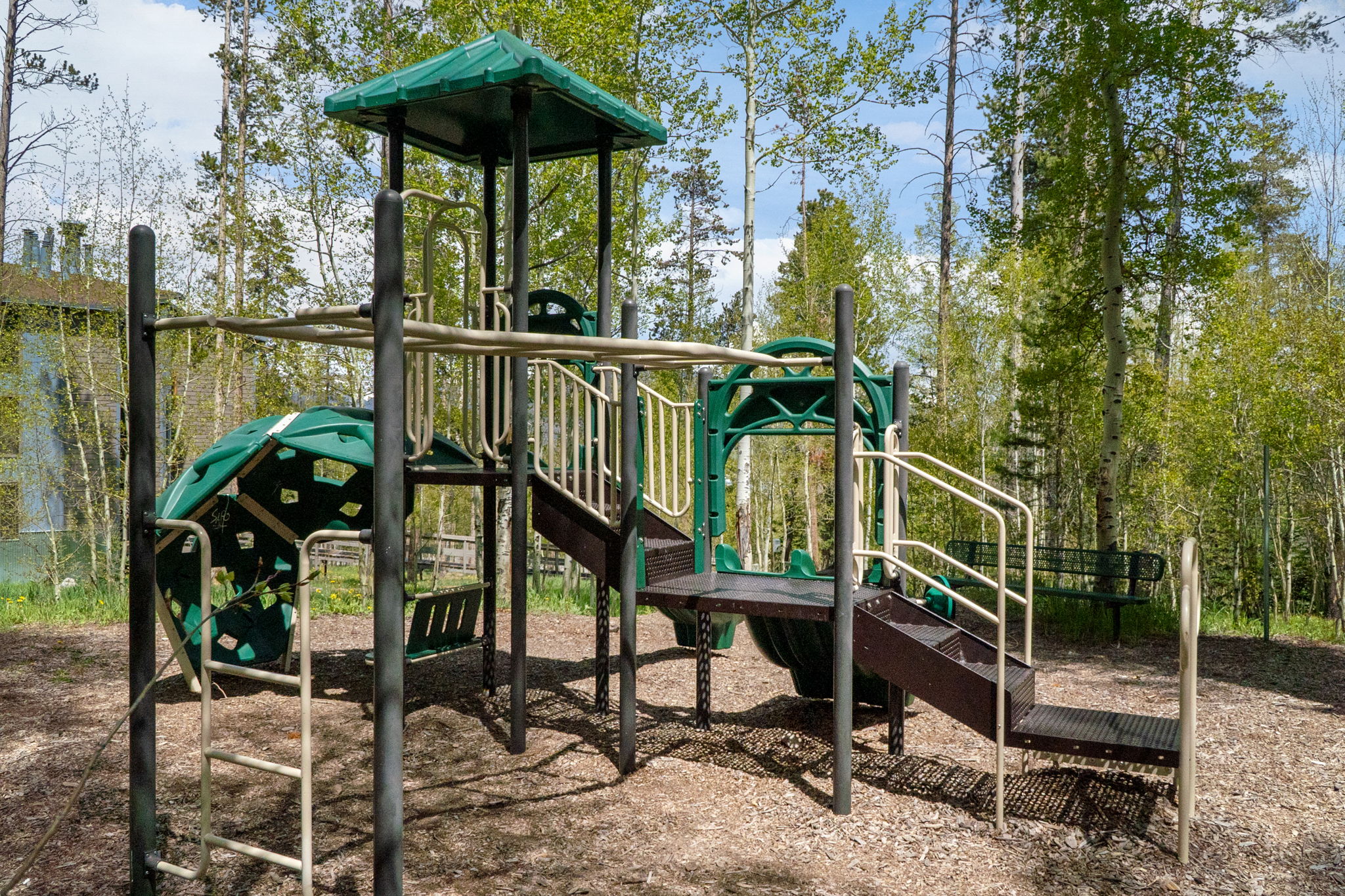  8100 Ryan Gulch Road, Wildernest, CO, 80498 - 物件實景