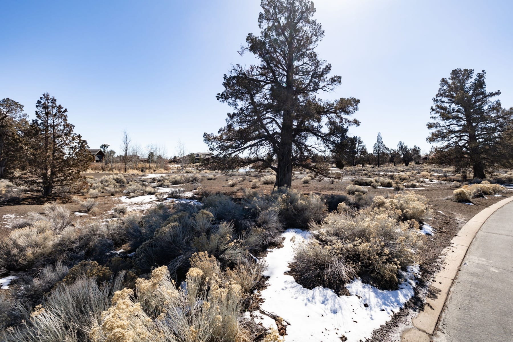  65922 Bearing Drive #Lot 105 Bend, OR 97701 - 物件實景