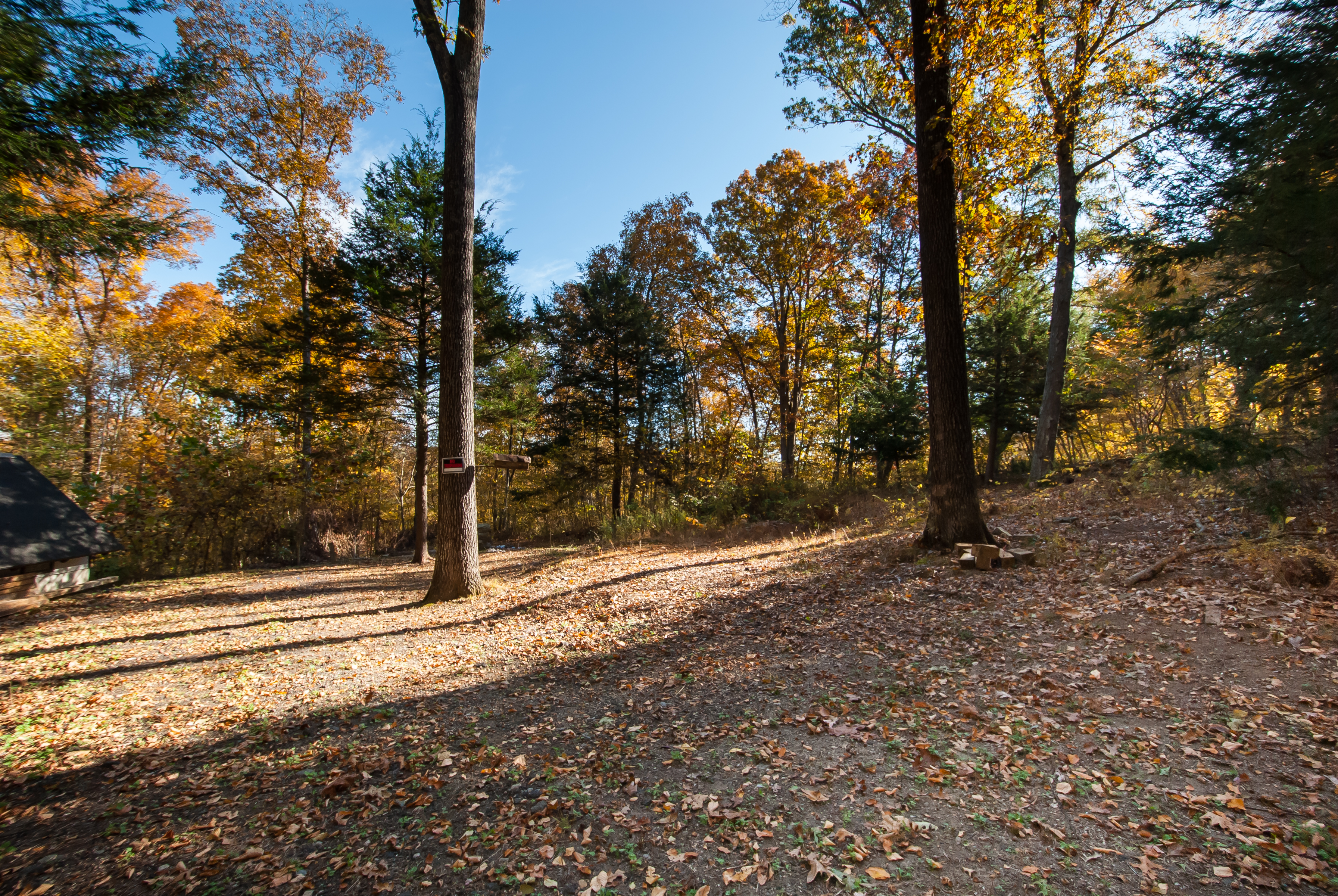  Nestled in the Hills of Southbury - 物件實景