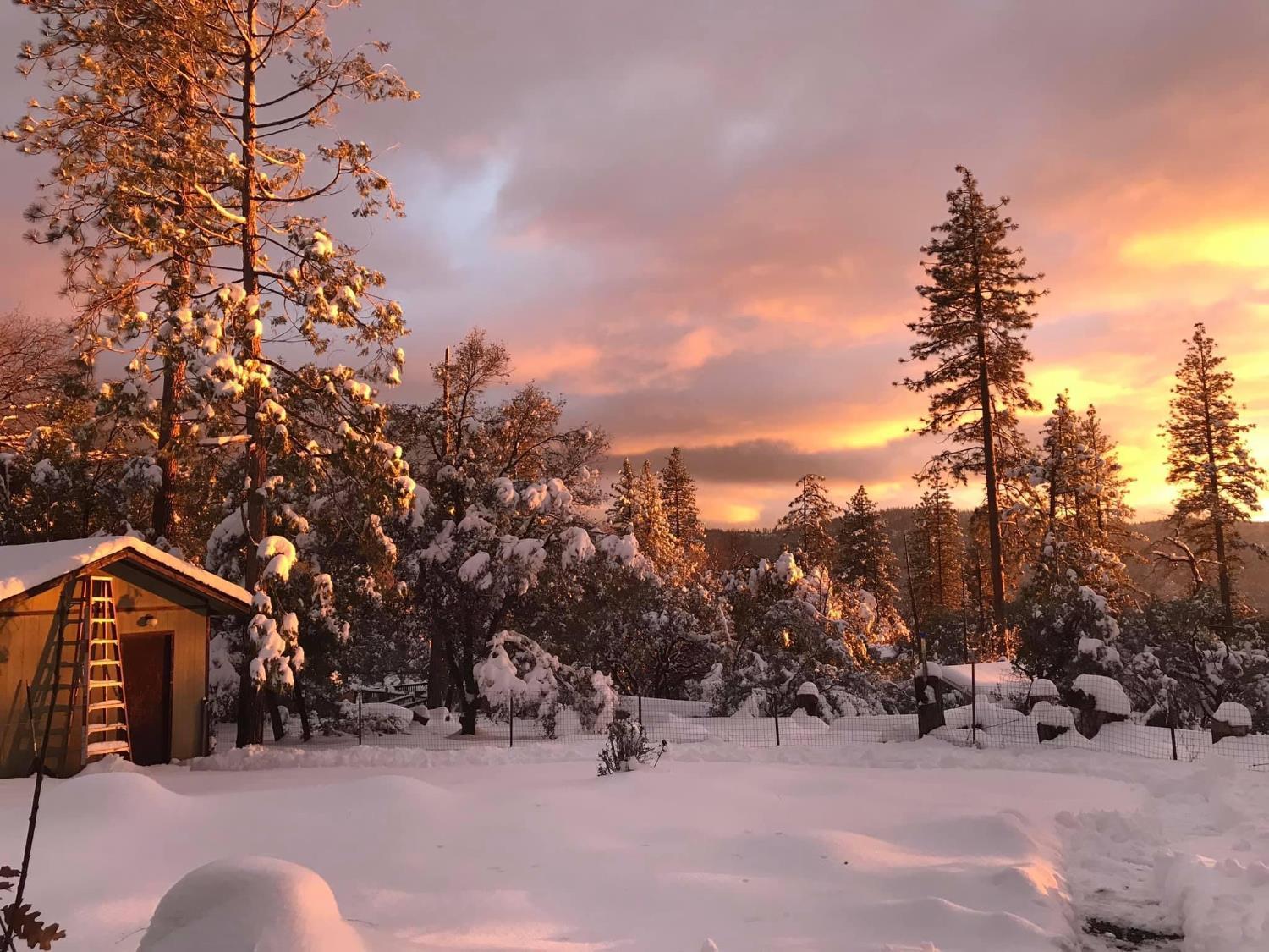 Oakhurst, California, 93644, United States, 4 Bedrooms Bedrooms, ,3 BathroomsBathrooms,Residential,For Sale,1992773