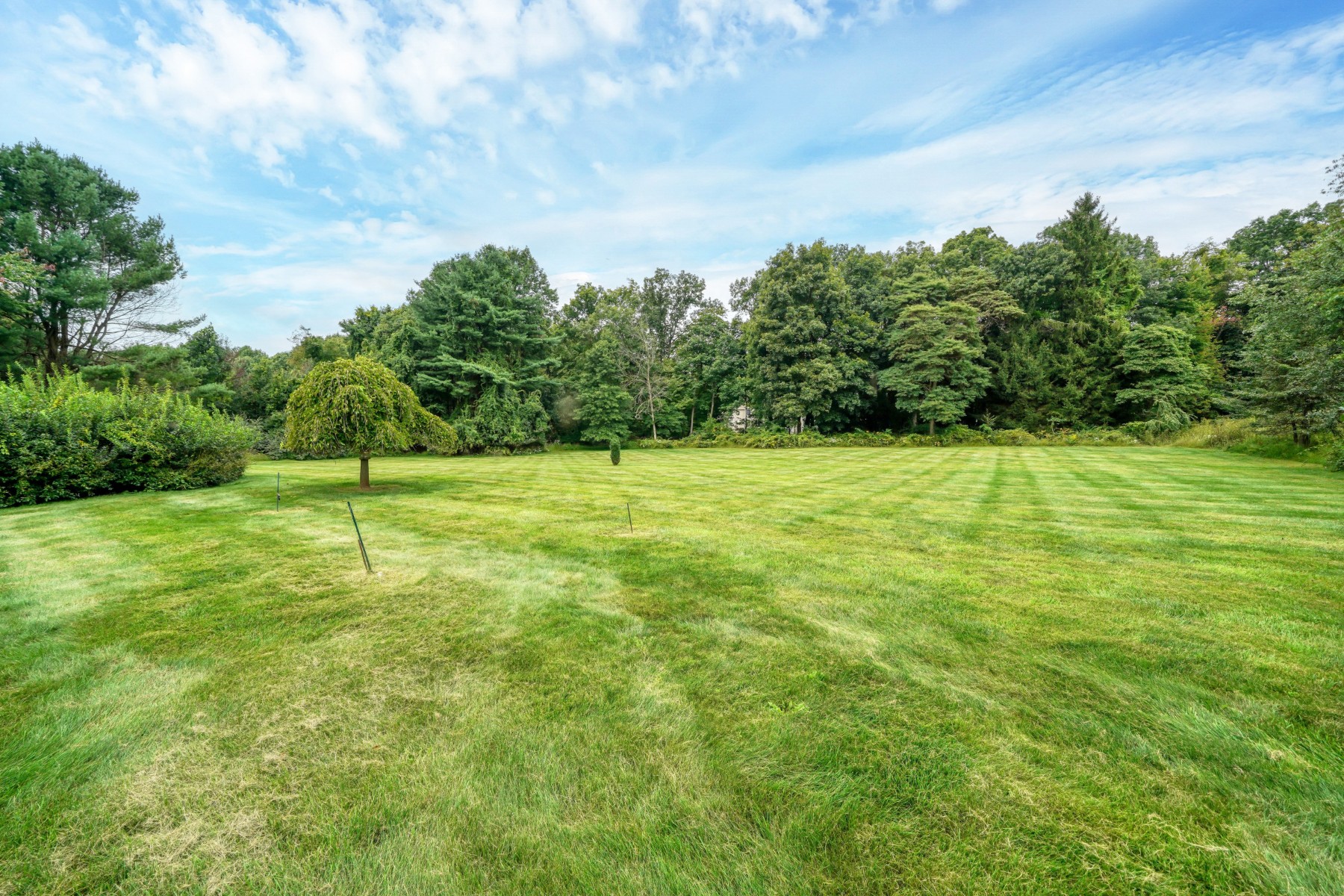  Beautifully Maintained Colonial with Expansive Backyard - 物件實景