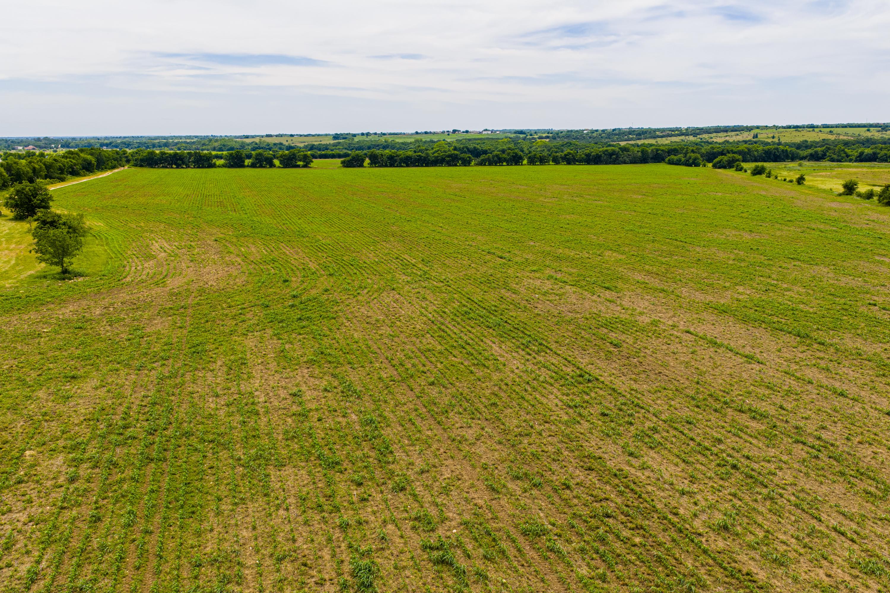  667 Acre Development Property With Two Miles Of Highway Frontage - 物件實景
