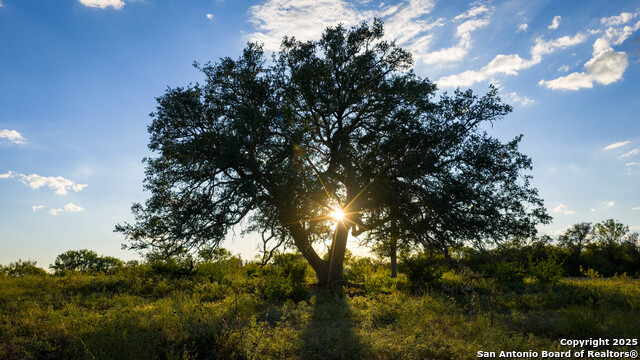 Kingsbury, Texas, 78638, United States, ,Residential,For Sale,1988121