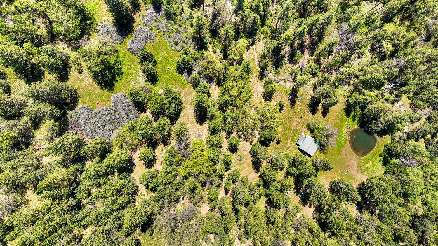 Mountain Ranch, California, 95246, United States, 1 Bedroom Bedrooms, ,1 BathroomBathrooms,Residential,For Sale,1982993