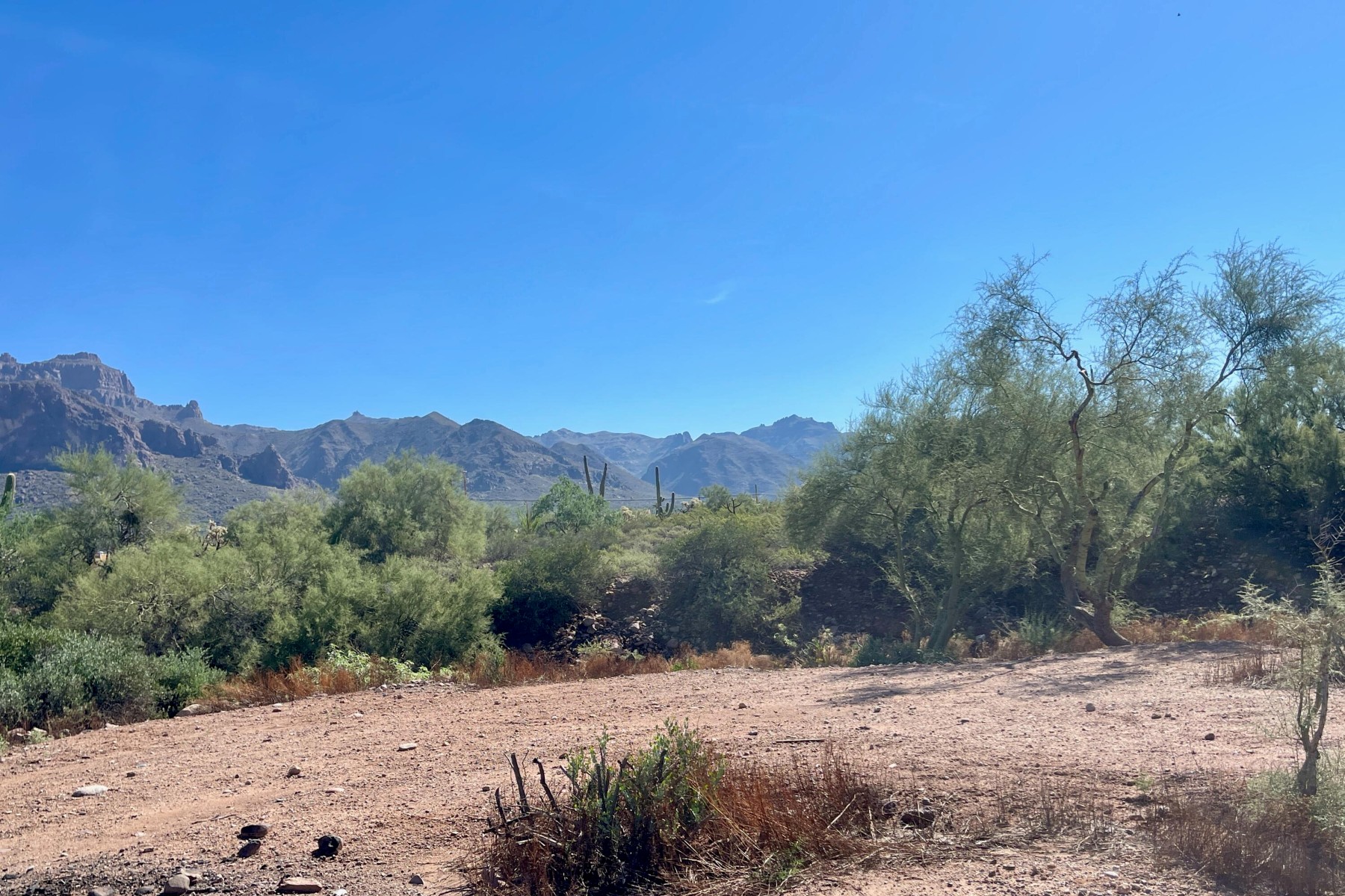  52 E Scenic (geronimo) Street¦Apache Junction, AZ - 物件實景