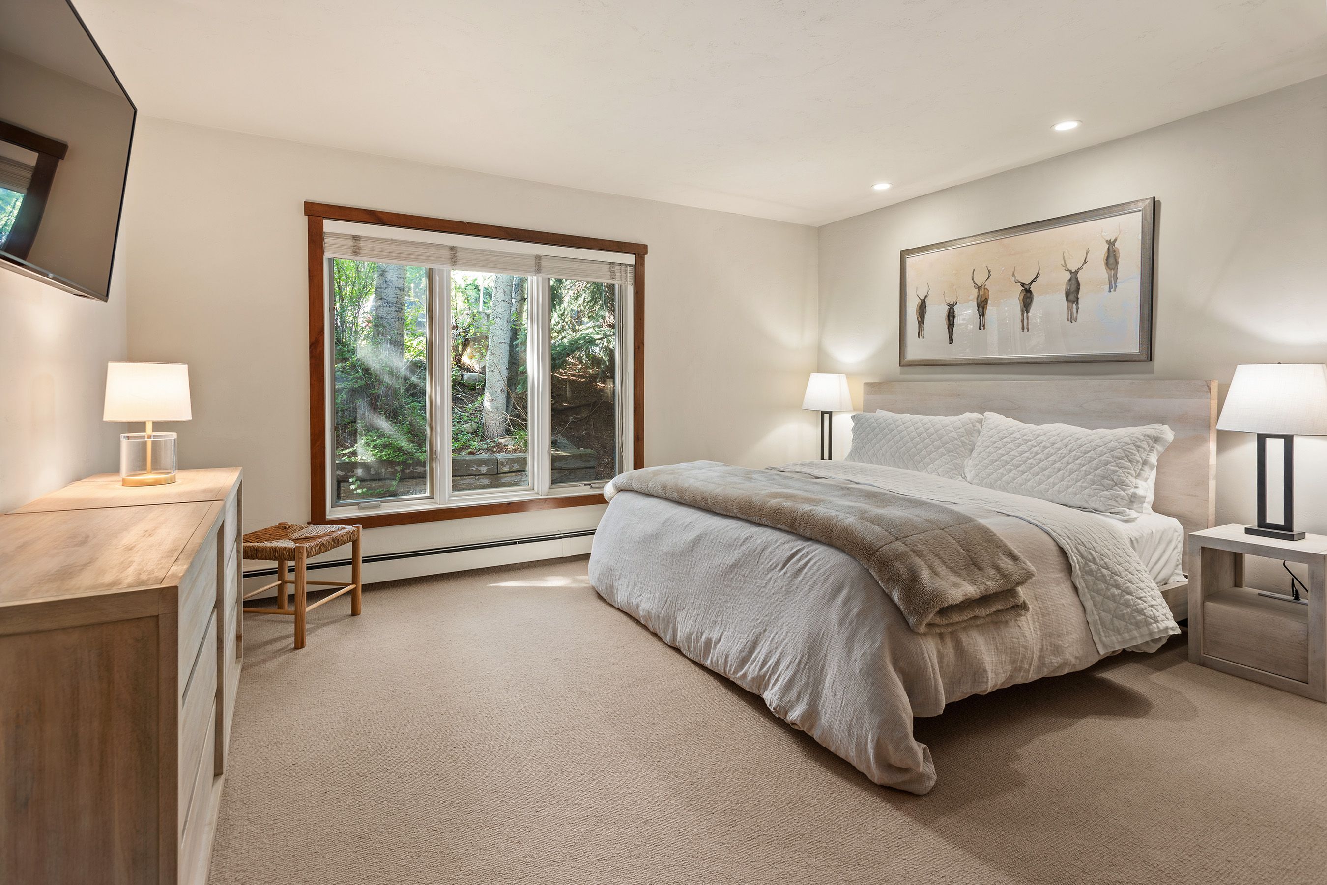  232 Meadow Ranch Road, Snowmass Village, CO, 81615 - 物件實景