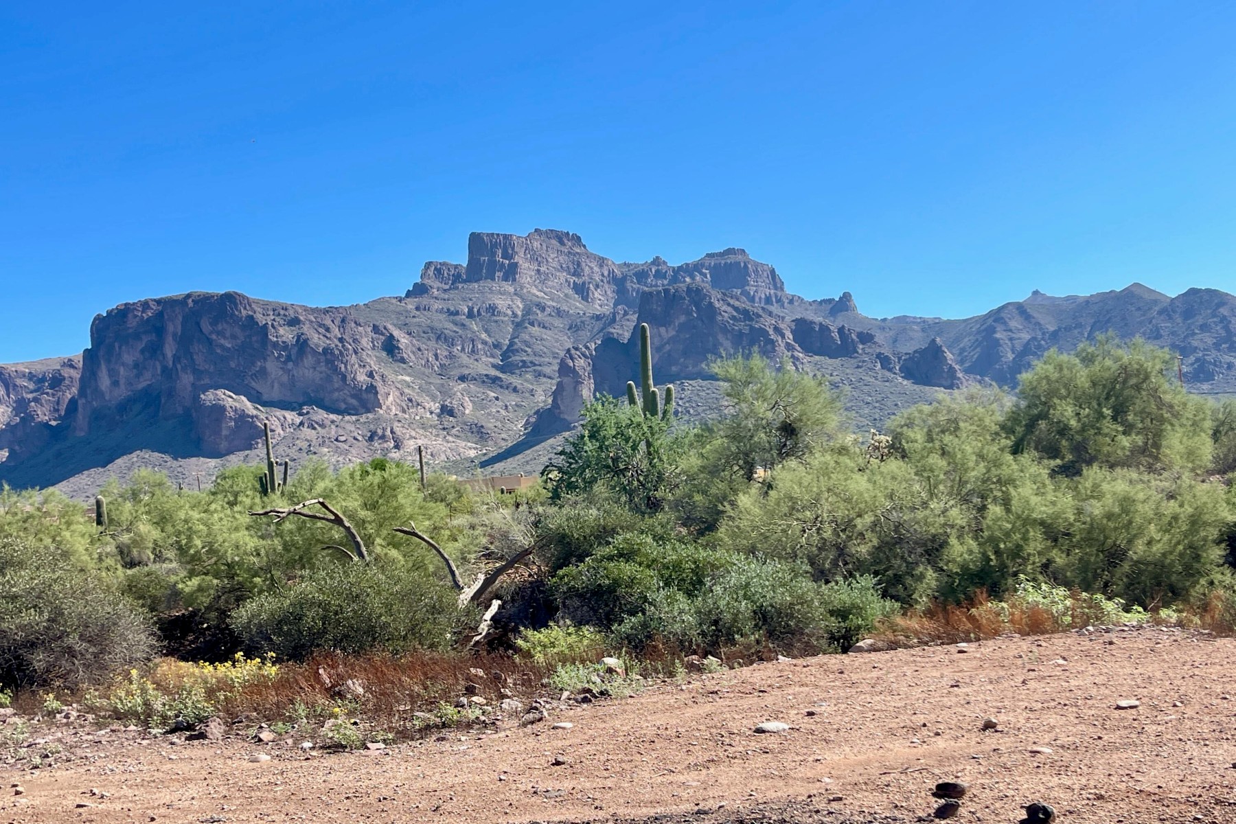  52 E Scenic (geronimo) Street¦Apache Junction, AZ - 物件實景