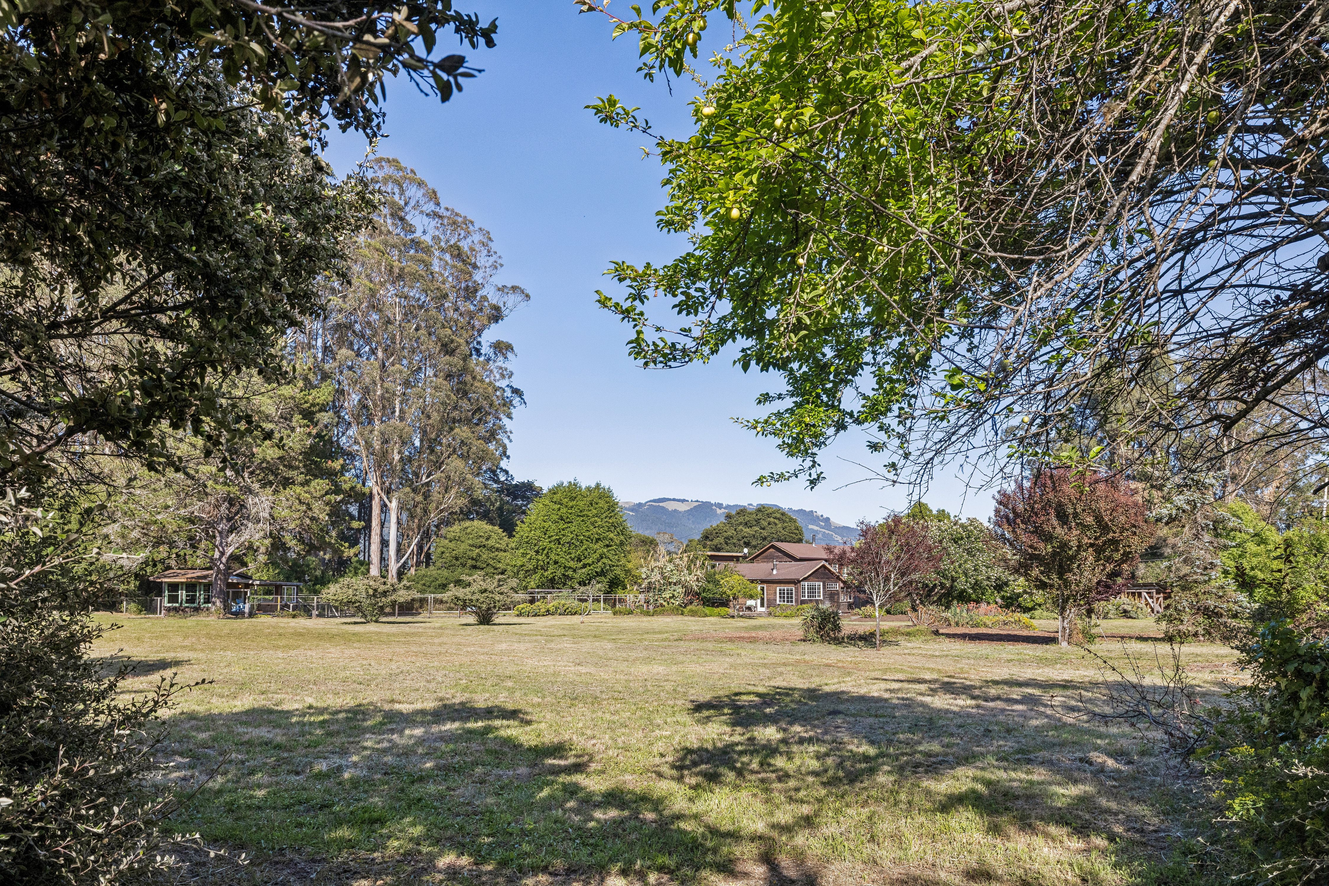  Bolinas Legend – Oldest Residence on Coastal Marin - 物件實景