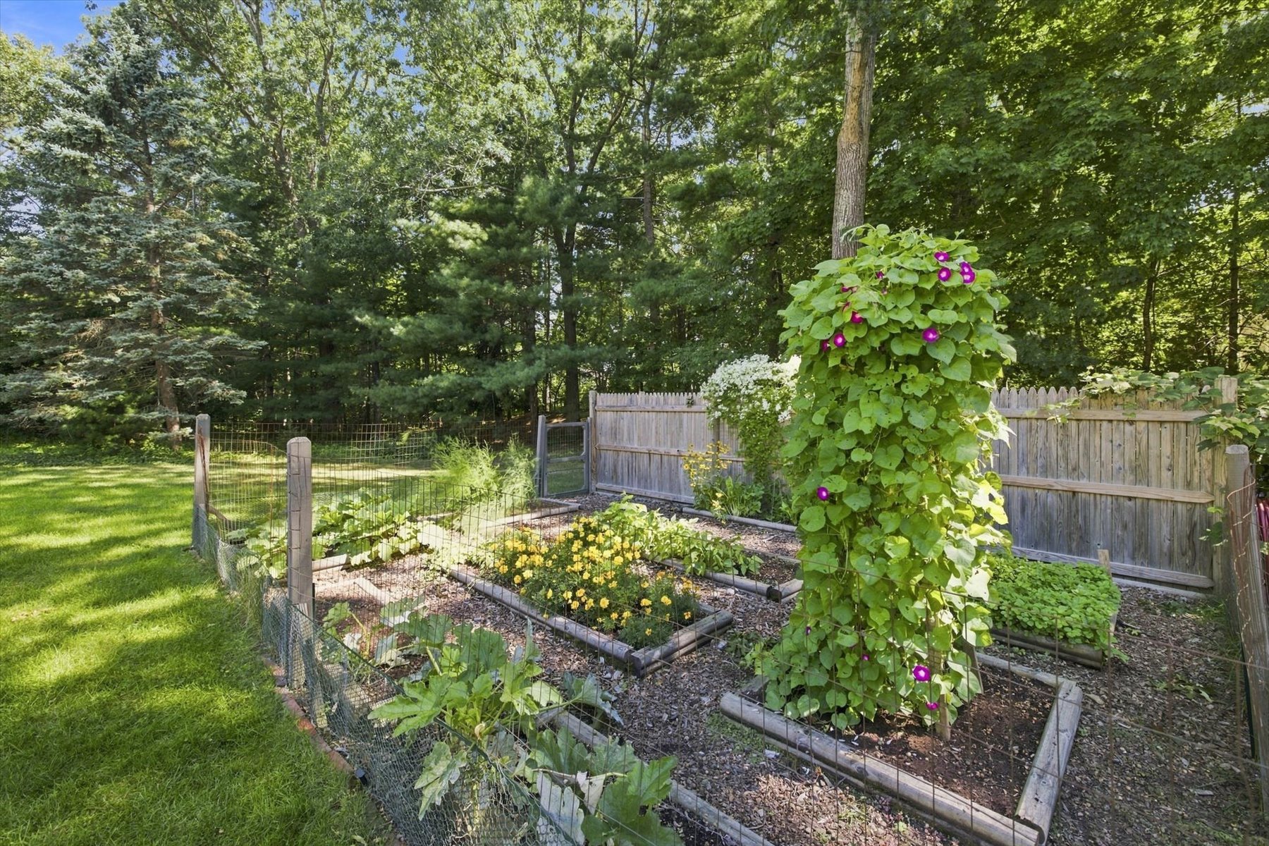  59 Beaverbrook Ln, Dux - 物件實景