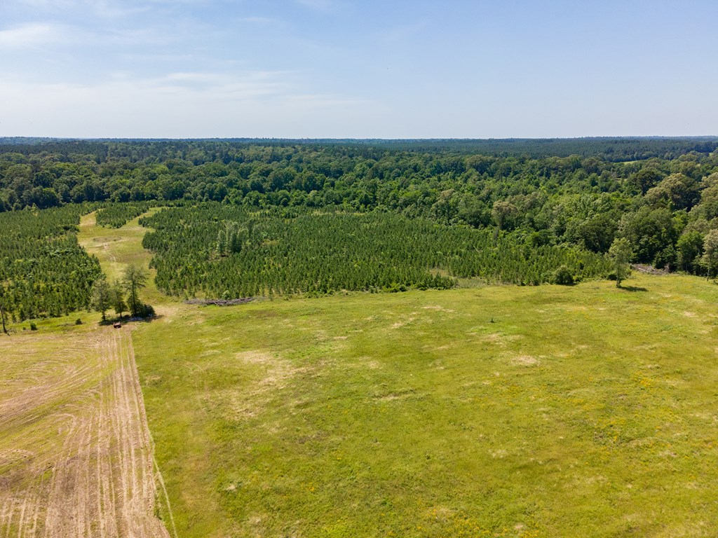 Pollok, Texas, 75969, United States, ,Residential,For Sale,1928088
