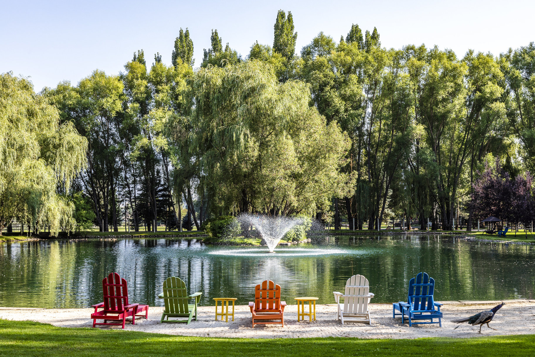  Multi Generational Estate, Heber Utah - 物件實景