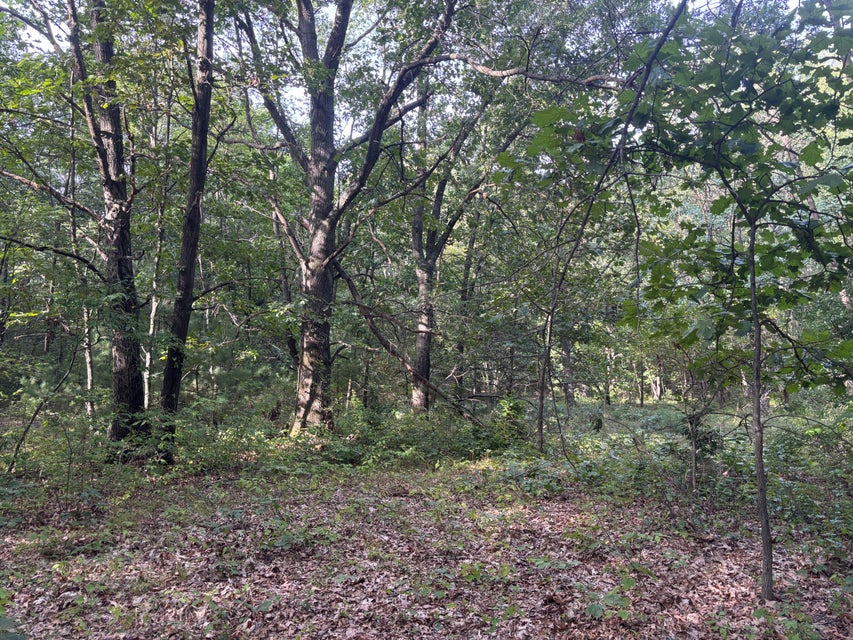 Howard City, Michigan, 49329, United States, 2 Bedrooms Bedrooms, ,1 BathroomBathrooms,Residential,For Sale,1982398