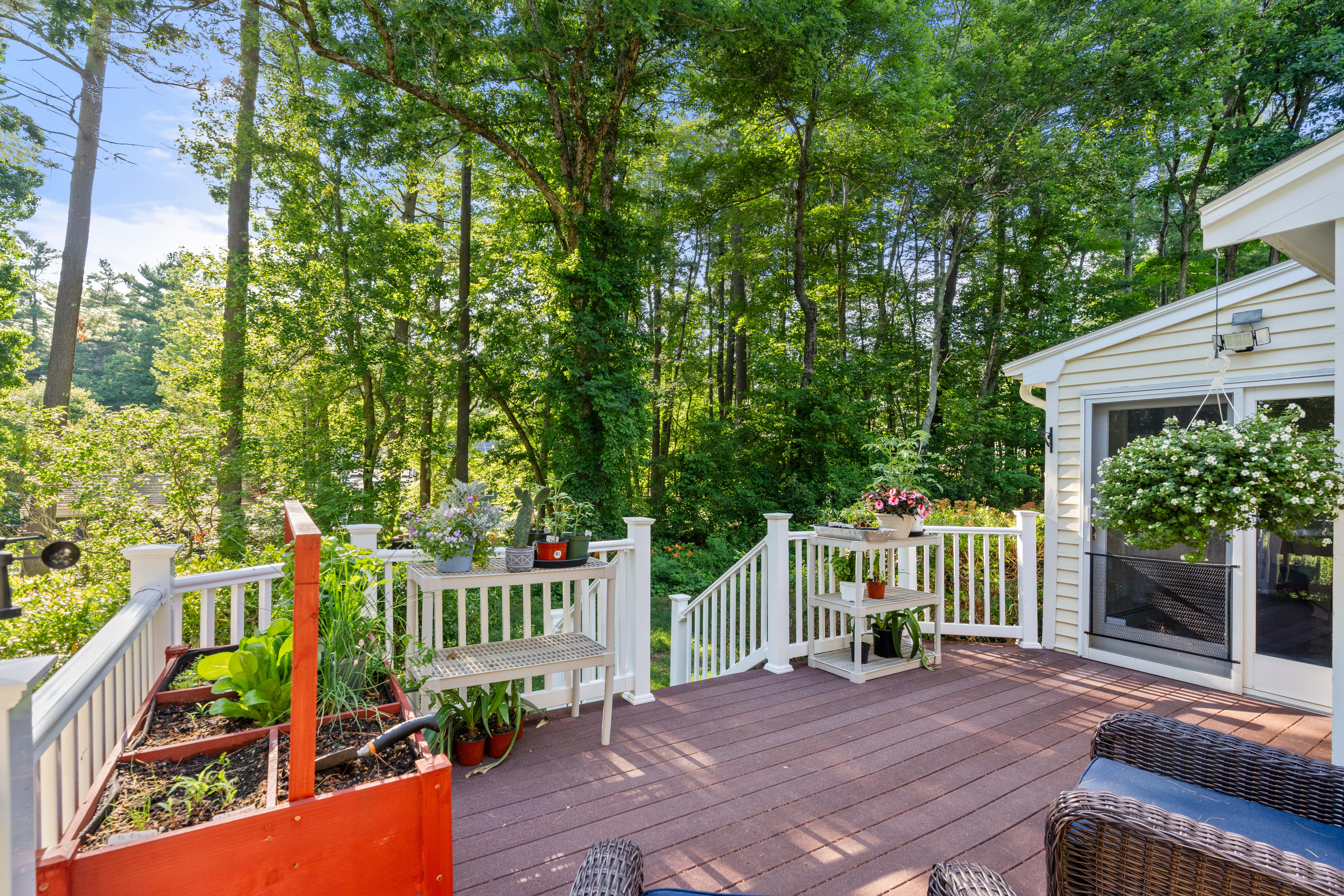  30 Stanhope Drive, Norfolk, MA, 02056 - 物件實景