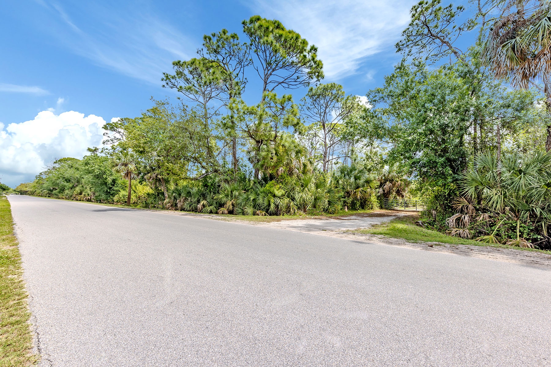  VENICE FARMS - 物件實景