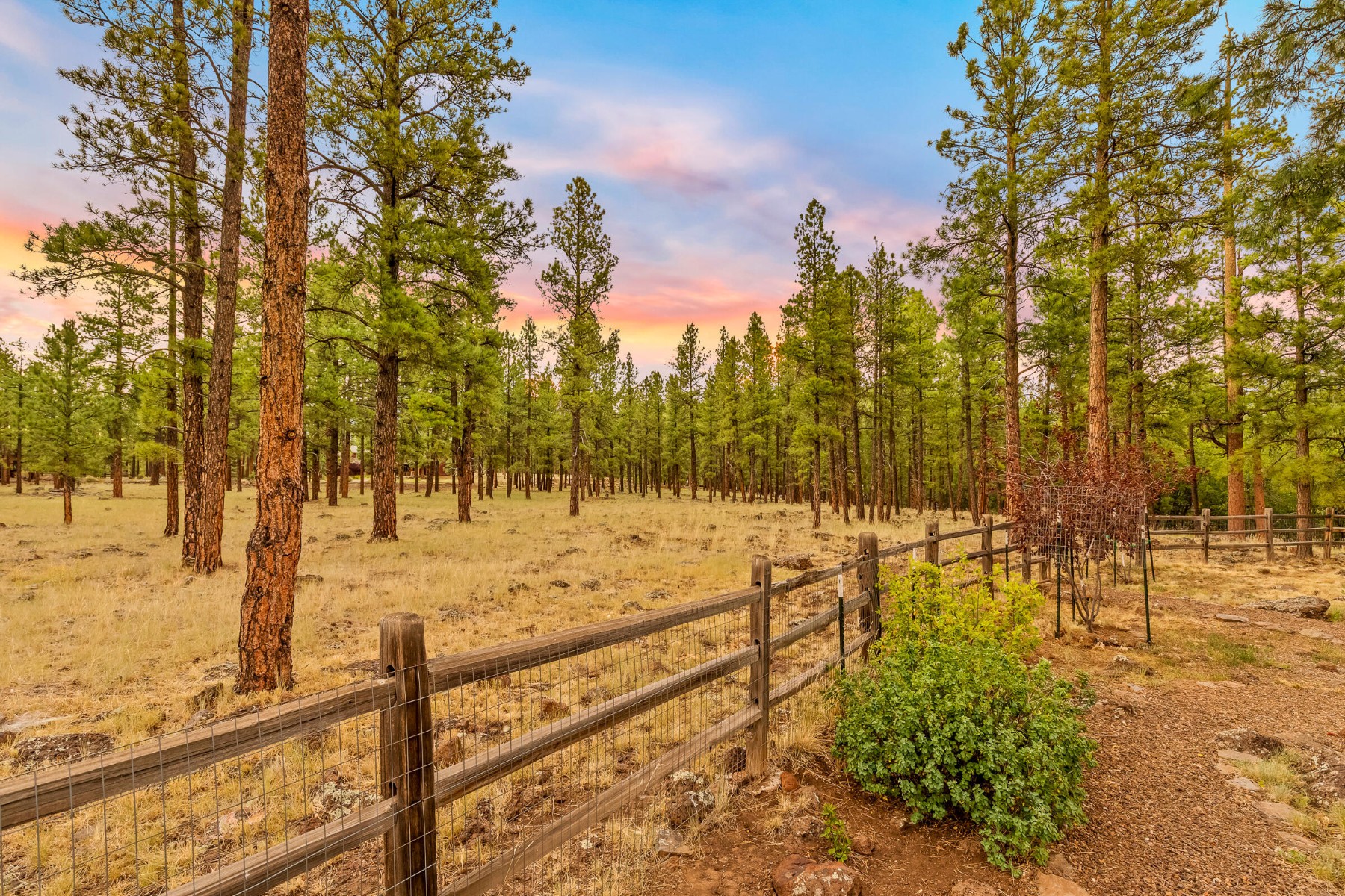  2901 Creekside Drive ¦ Flagstaff, AZ - 物件實景