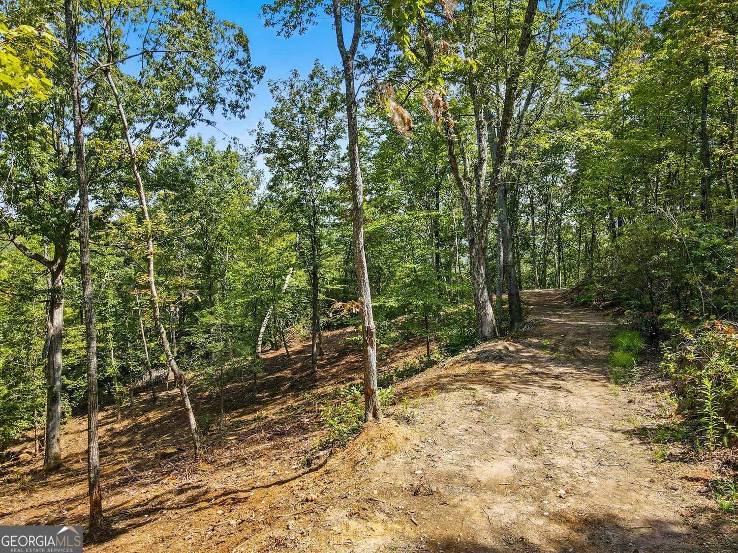 Waleska, Georgia, 30183, United States, ,Land,For Sale,1929808