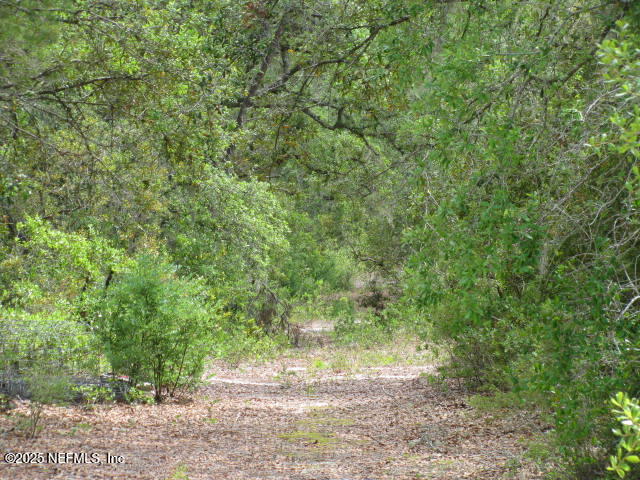 DeLeon Springs, Florida, 32130, United States, ,Land,For Sale,1978390