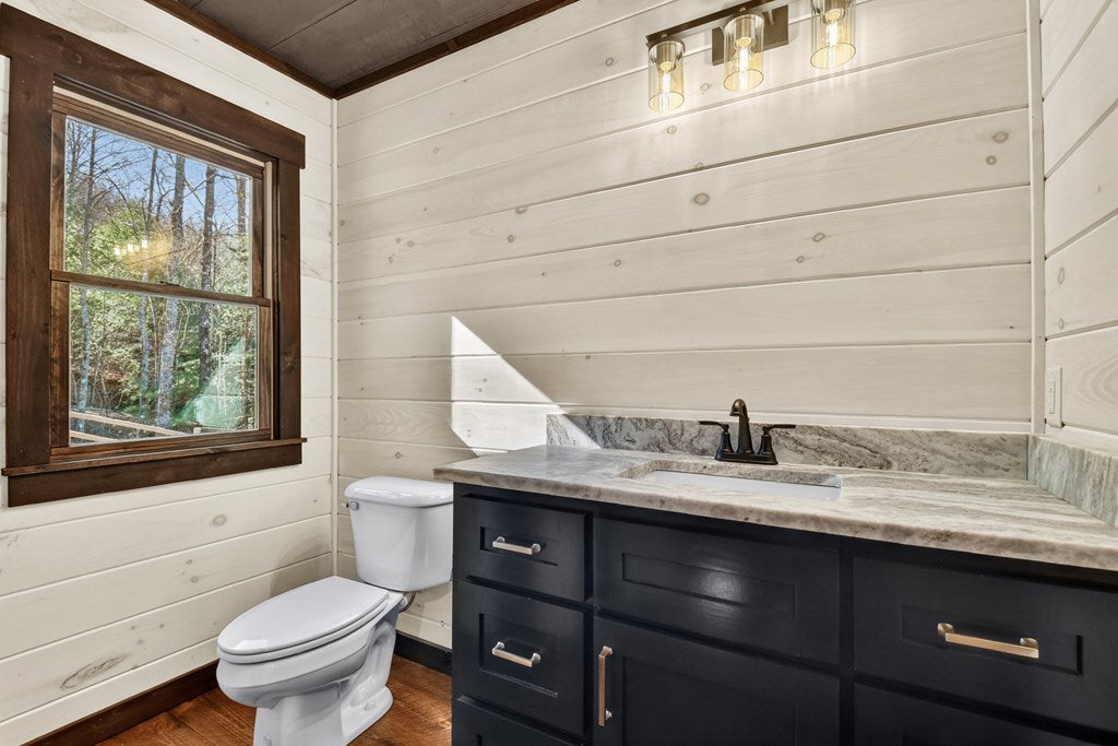 Mineral Bluff, Georgia, 30559, United States, 4 Bedrooms Bedrooms, ,4 BathroomsBathrooms,Residential,For Sale,2010498