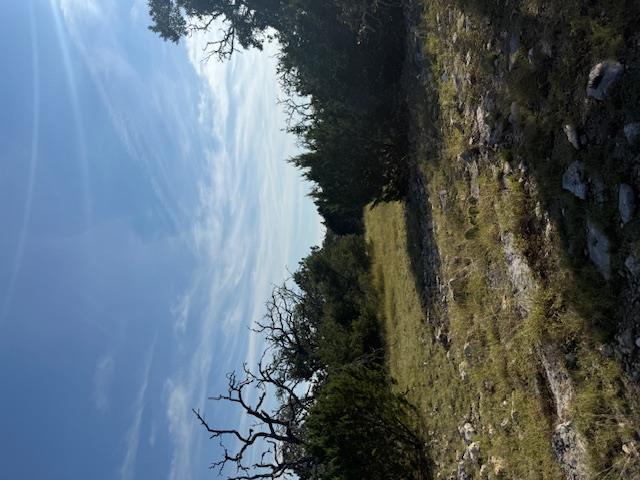 Fredericksburg, Texas, 78624, United States, 3 Bedrooms Bedrooms, ,2 BathroomsBathrooms,Residential,For Sale,1984349