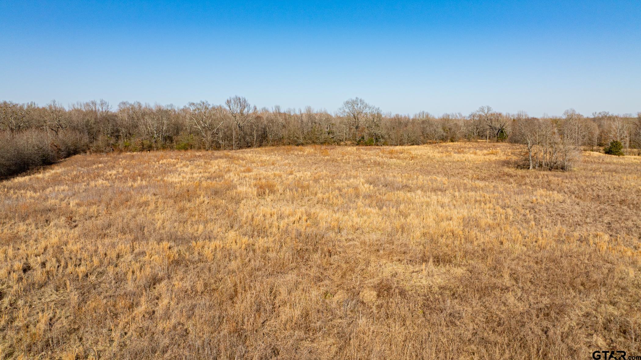 Dekalb, Texas, 75559, United States, ,Land,For Sale,1983481