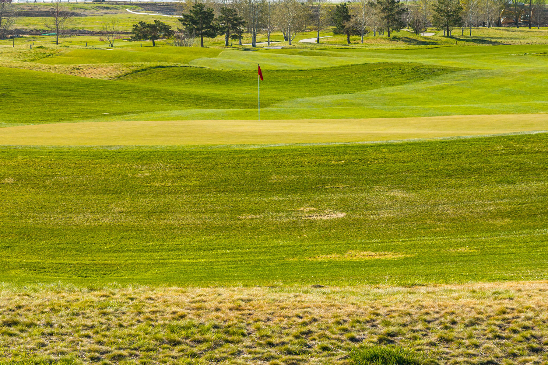  TBD T-Bone Way - 物件實景