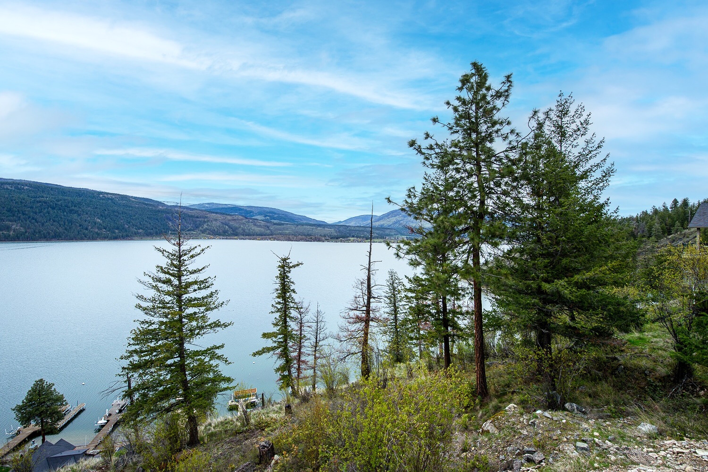 Vernon, Thompson & Okanagan - 物件實景