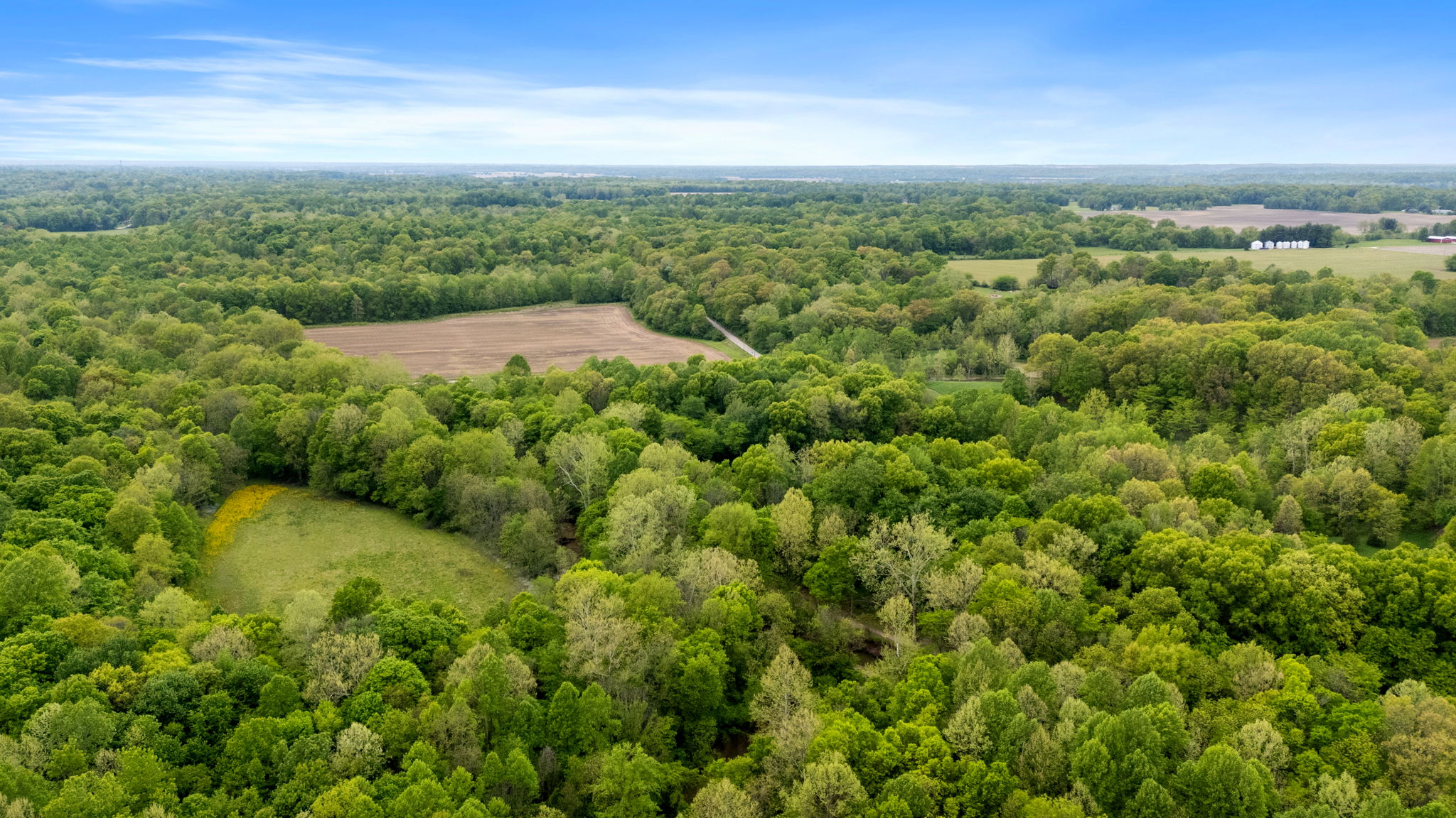 Rosedale, Indiana, 47874, United States, ,Land,For Sale,2049036