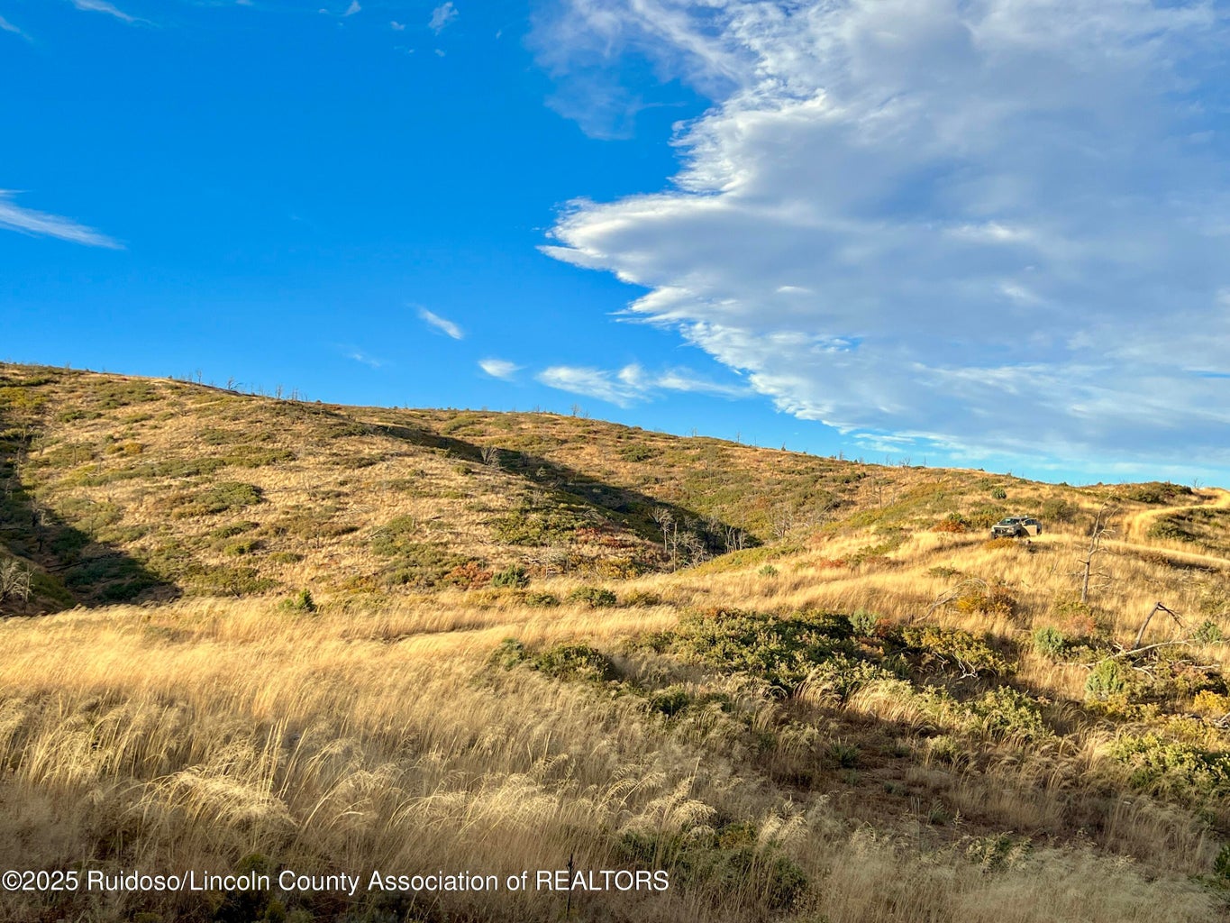 Nogal, New Mexico, 88341, United States, ,Land,For Sale,1988208