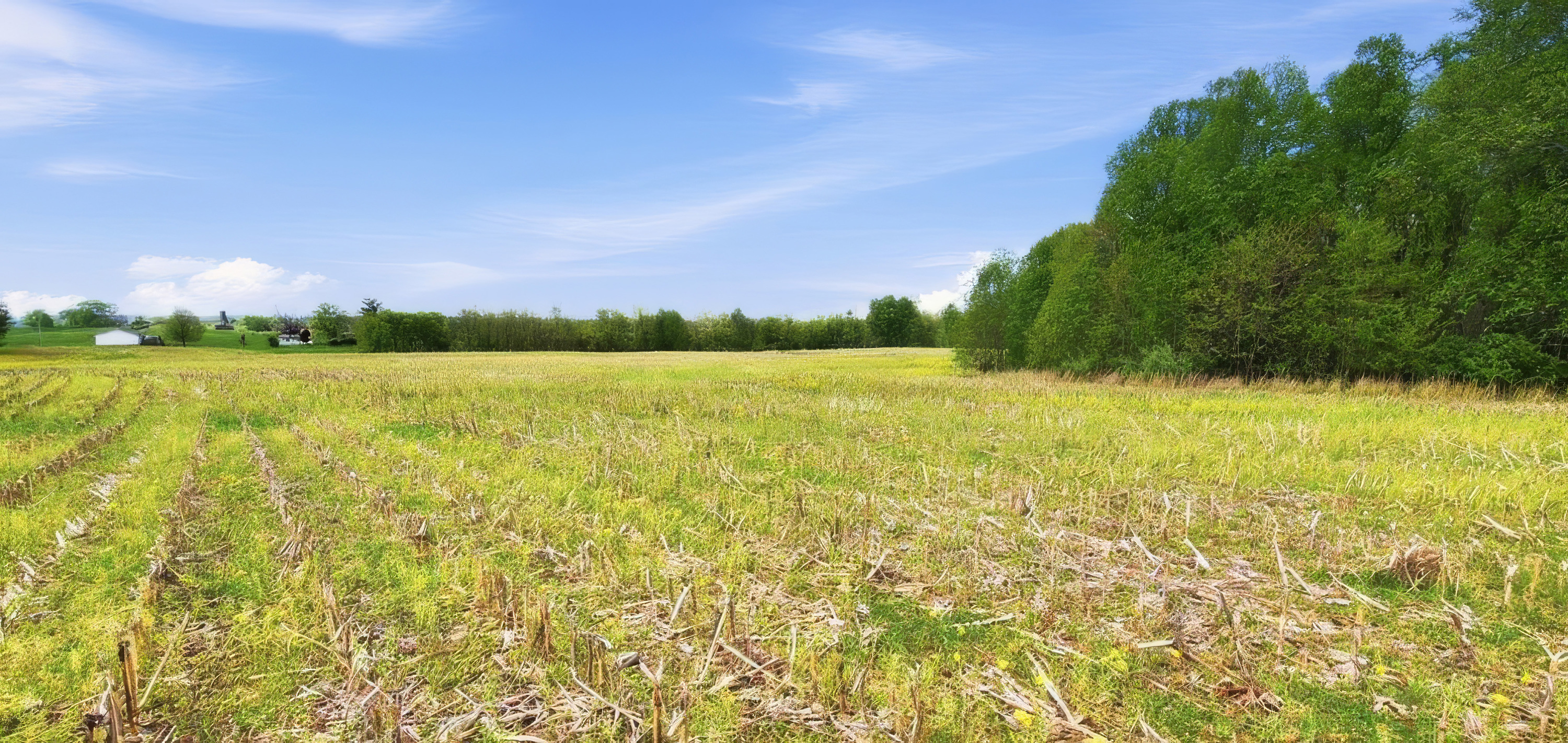  3850 Smith Lane, La Grange, KY 40031 - 物件實景