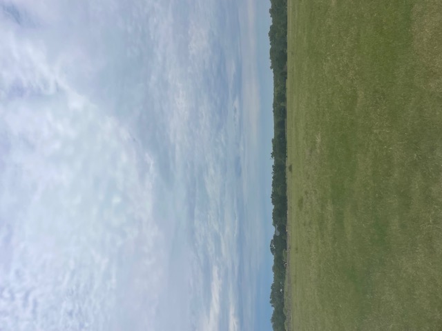 Holland, Texas, 76534, United States, ,Residential,For Sale,1994334