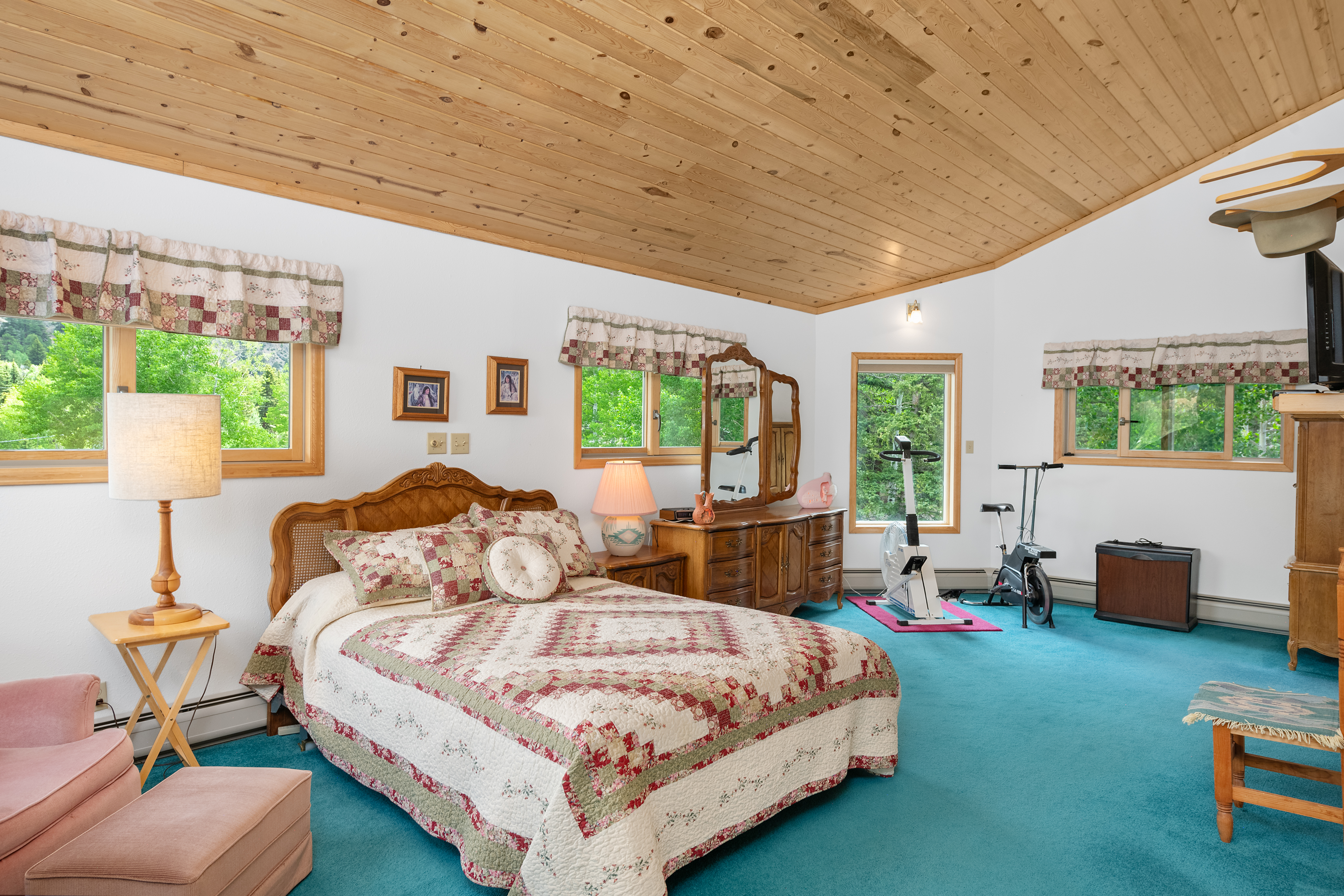  2079 Hummingbird Lane, Lake City, CO, 81235 - 物件實景