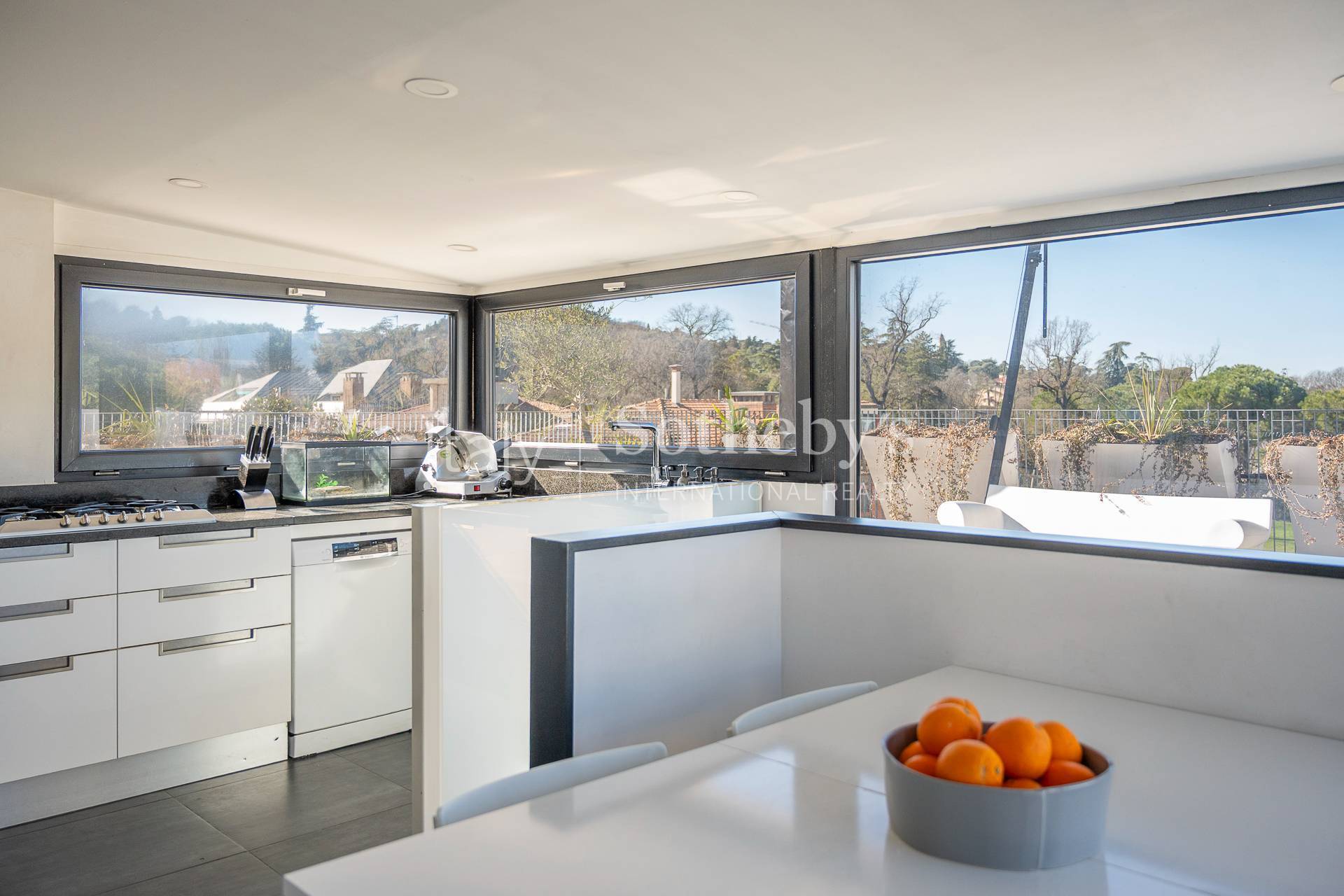  Elegant appartment with Panoramic Terrace - 物件實景