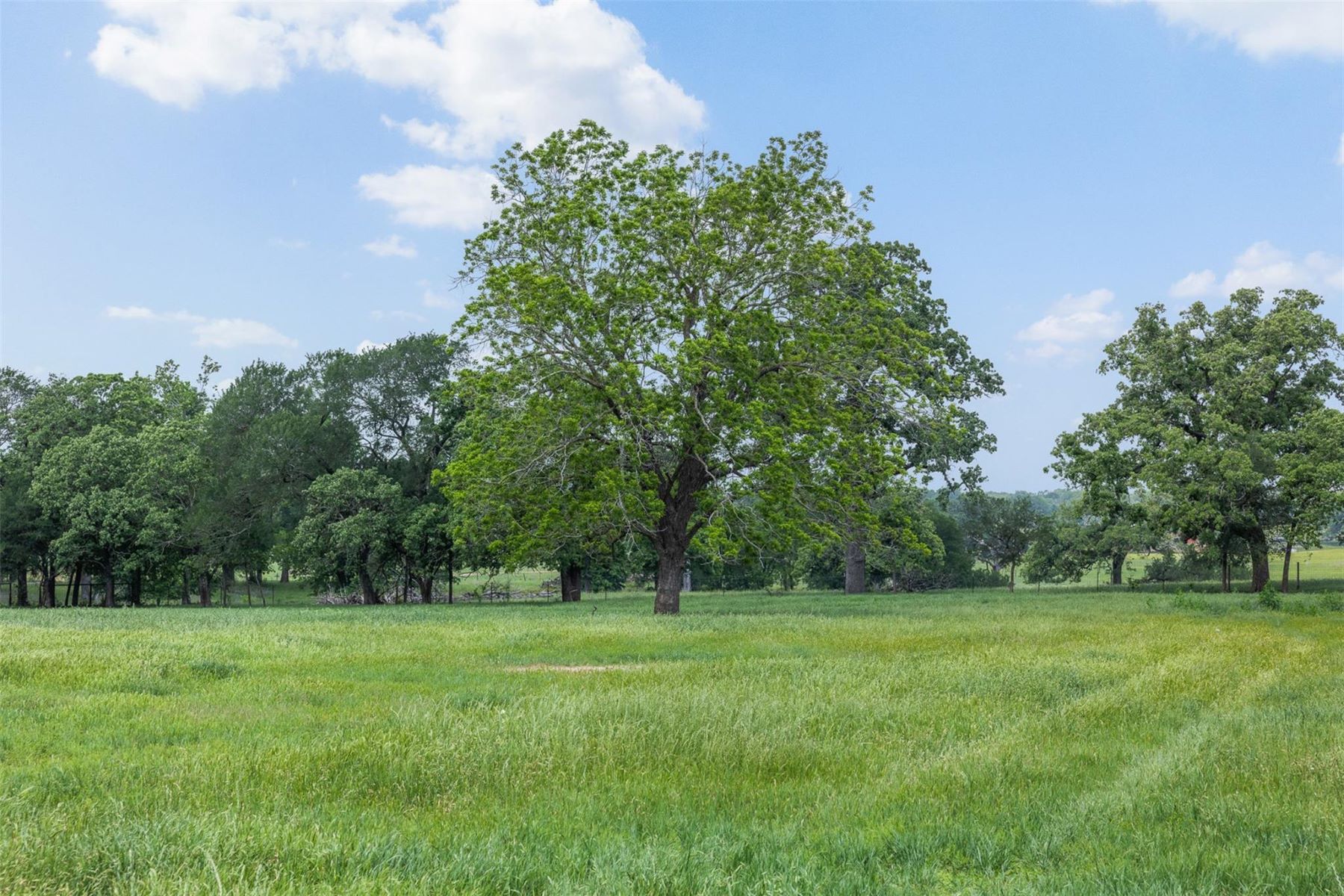  1016 County Road 306, Rockdale, TX 76567 - 物件實景